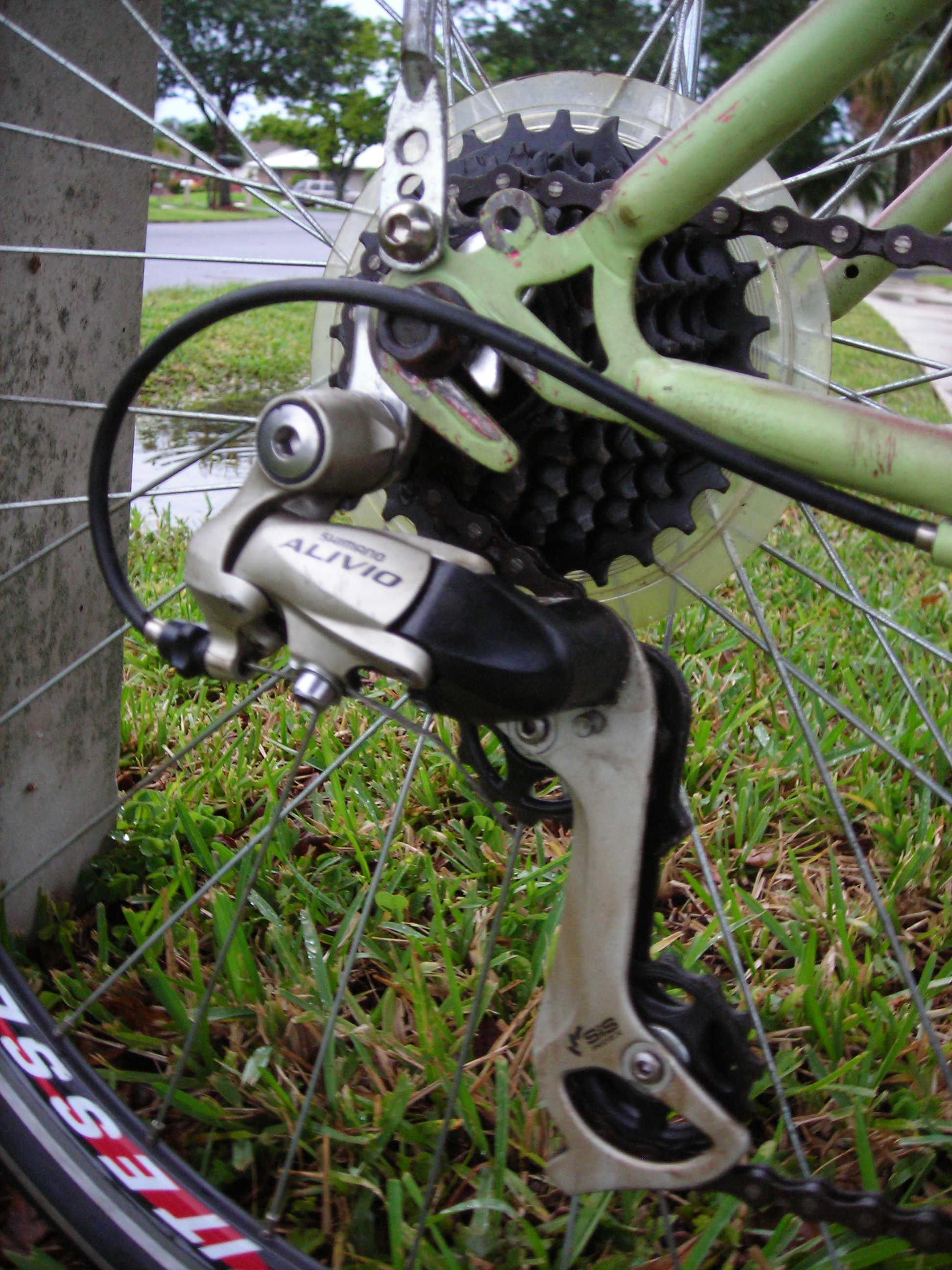 DSCN4488.JPG