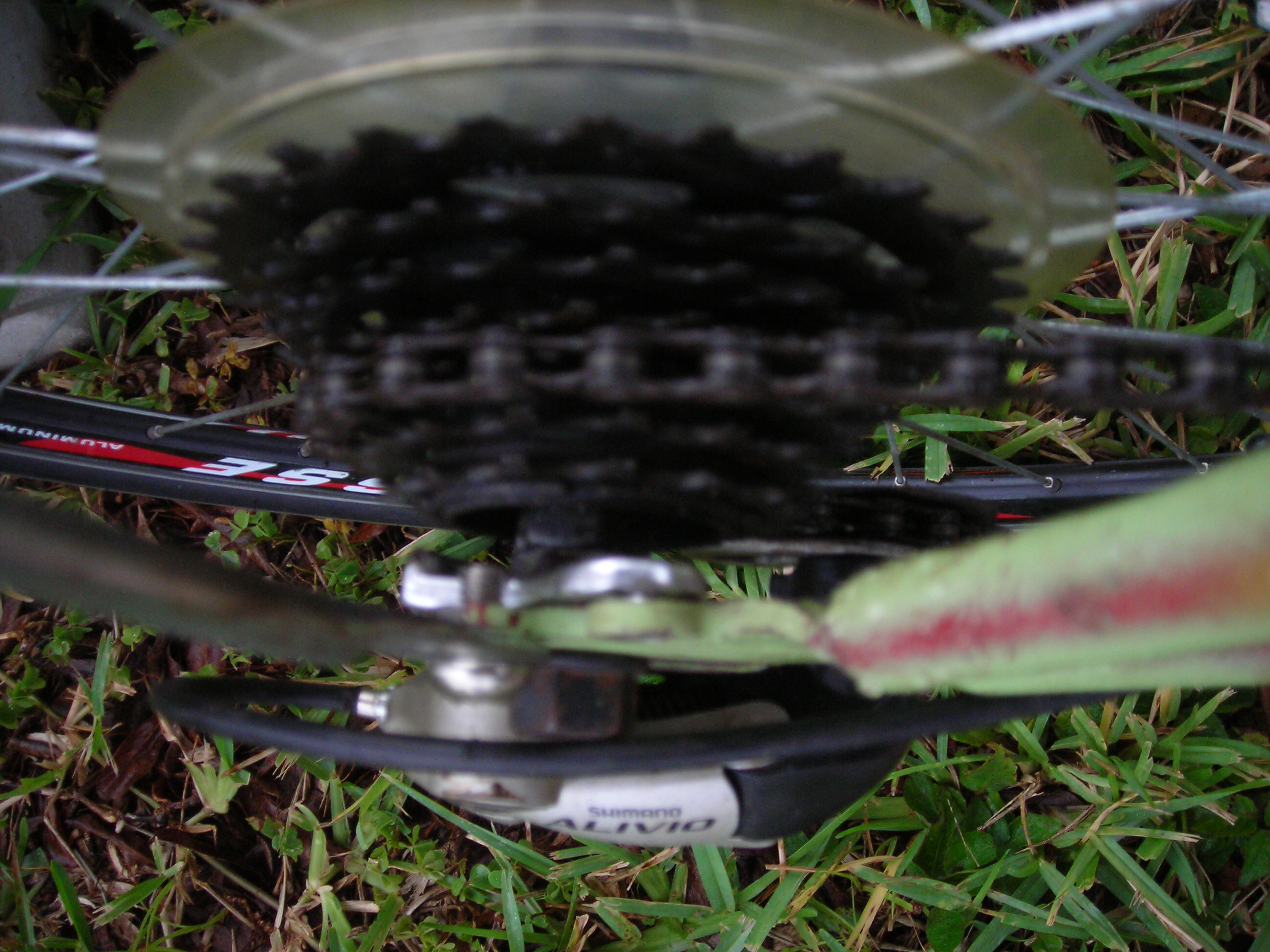 DSCN4489.JPG