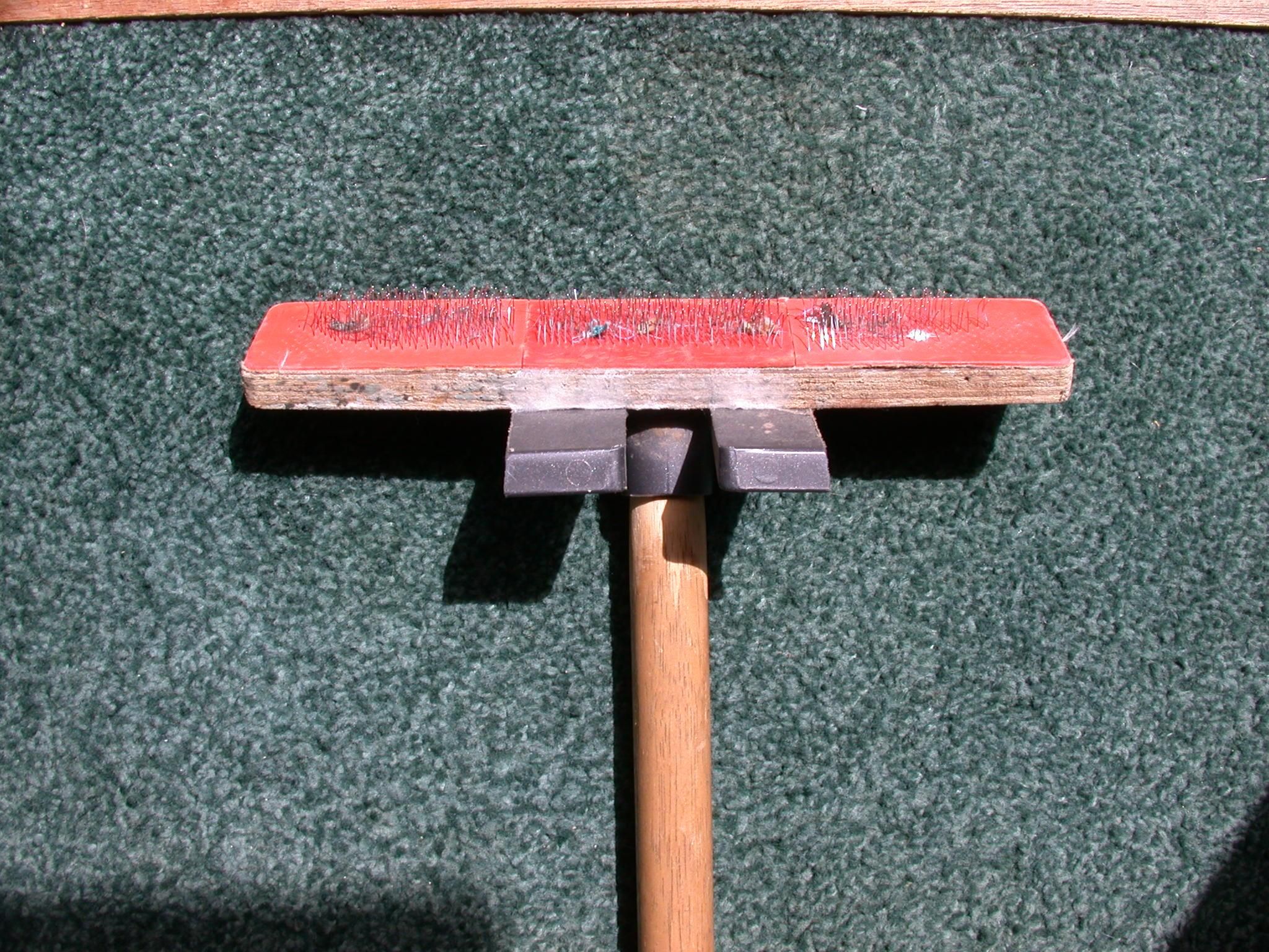 DSCN5862.JPG