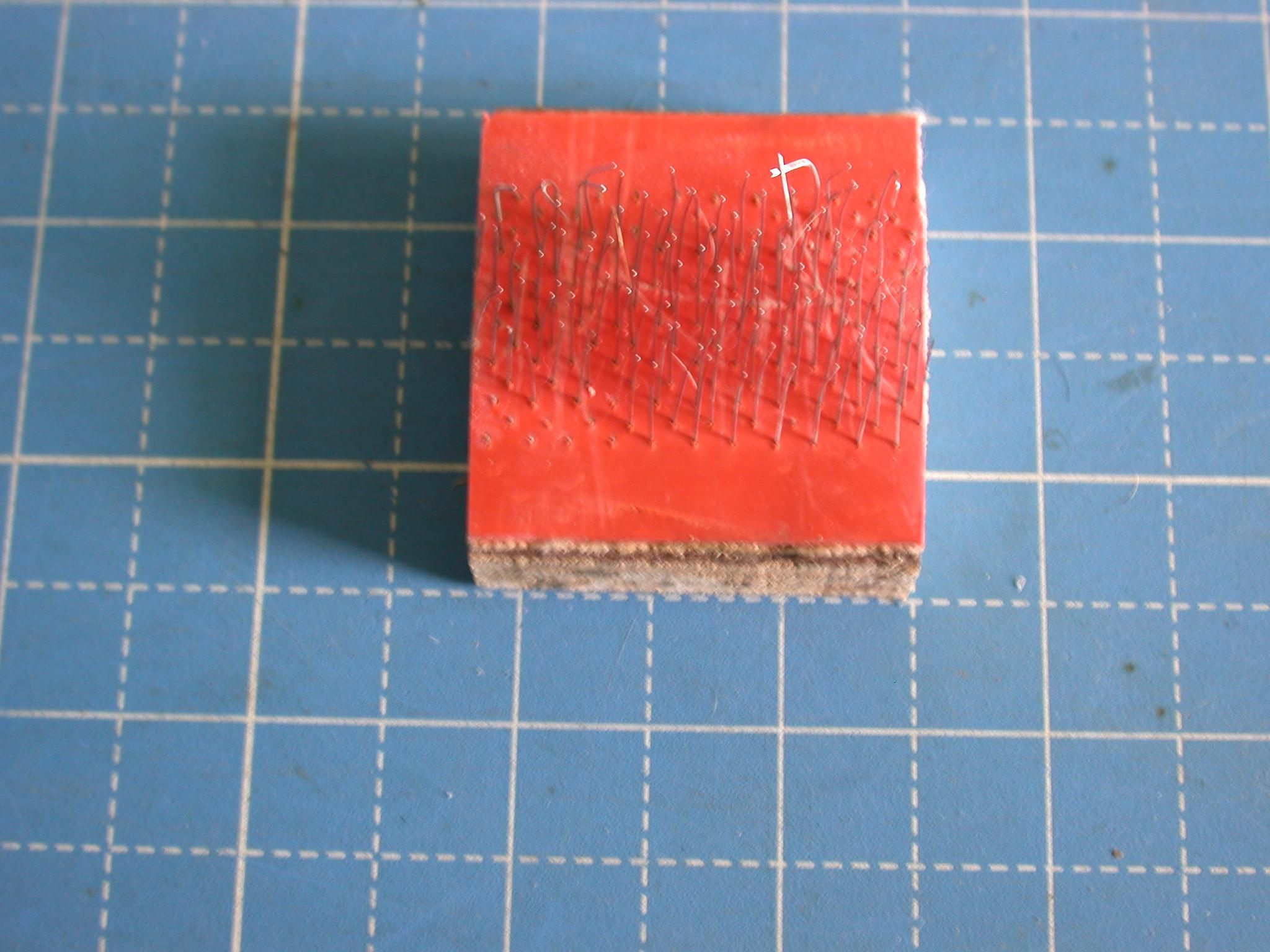 DSCN5866.JPG