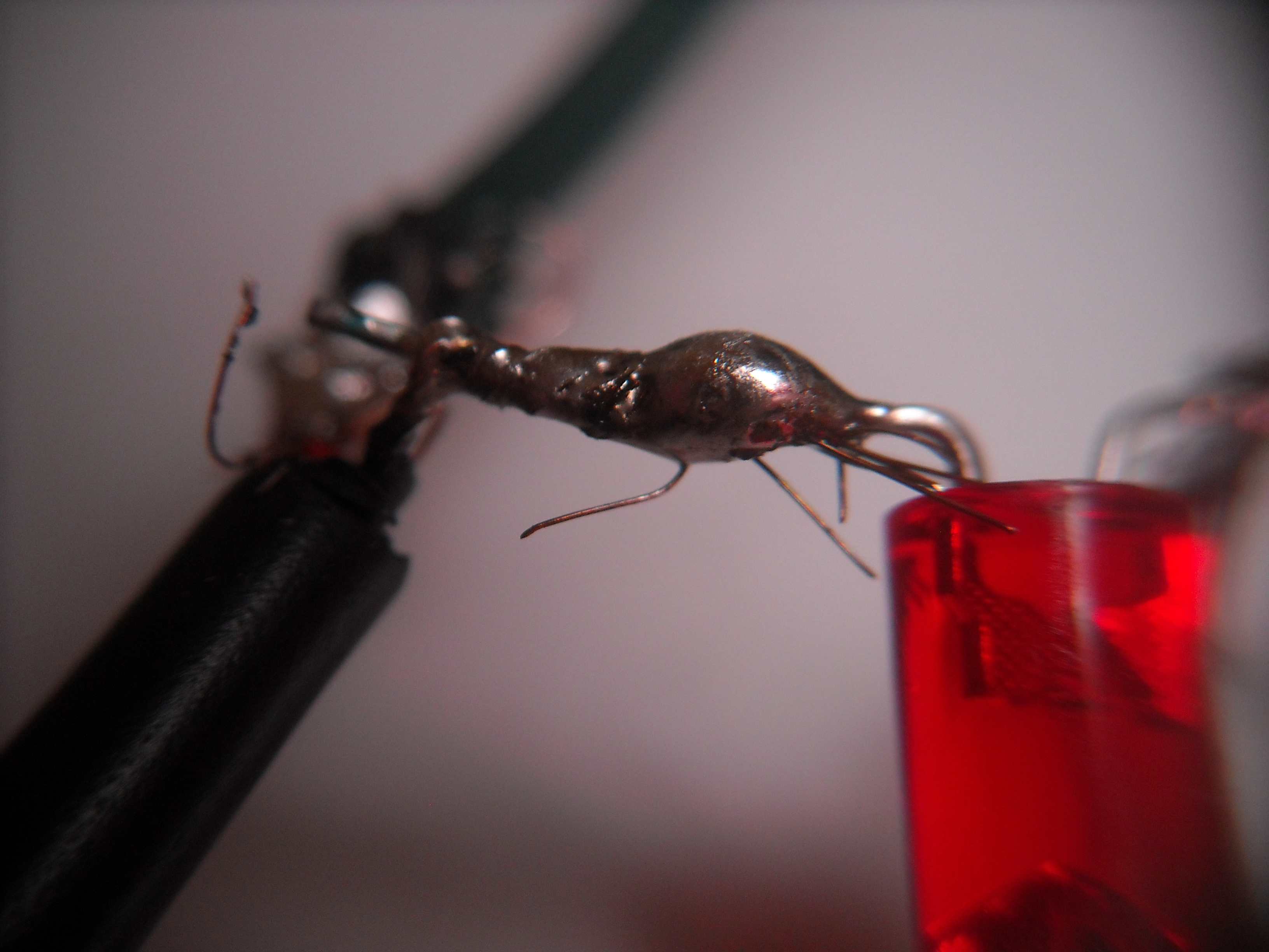 DSCN5901.JPG