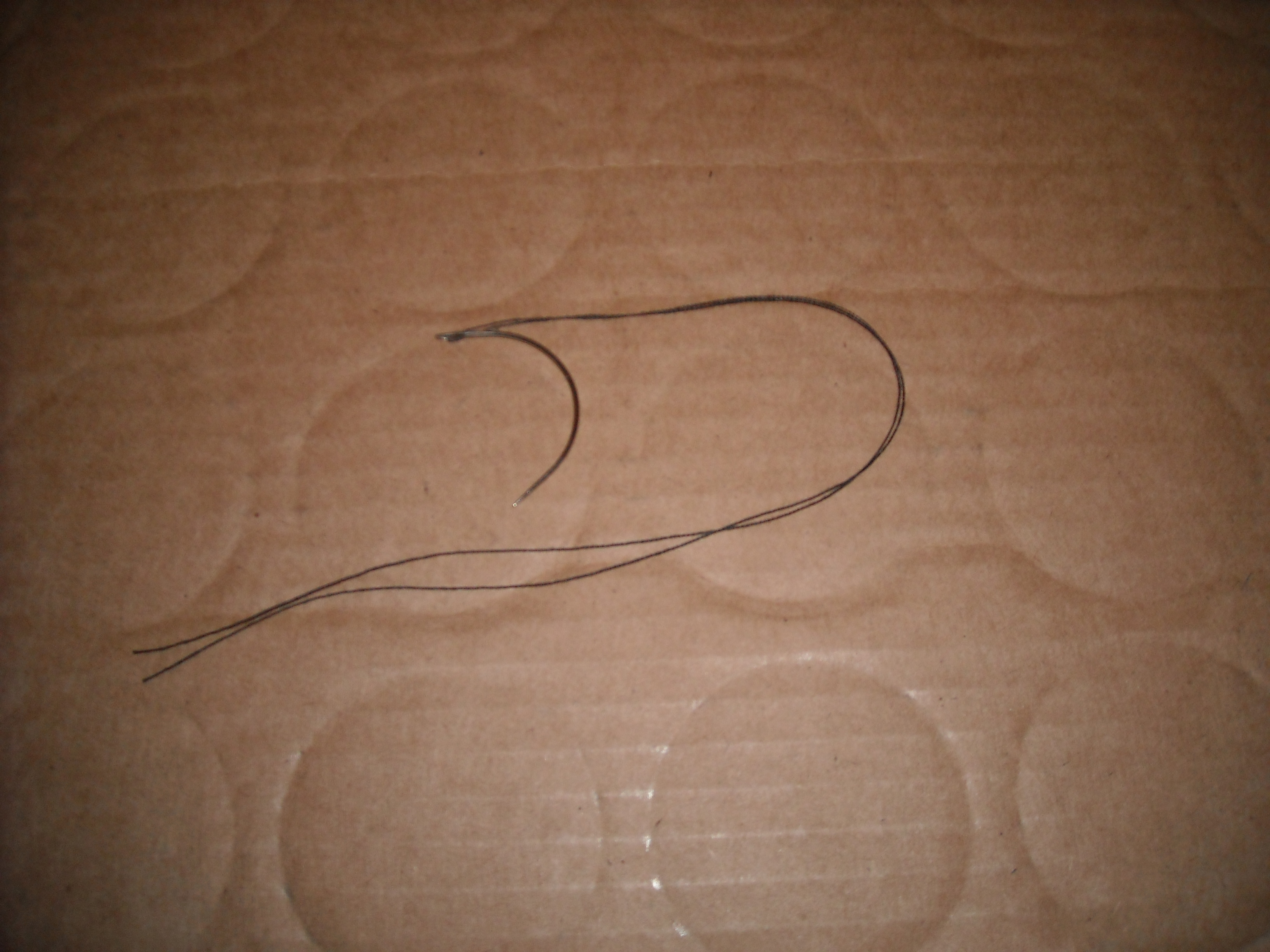 DSCN5946.JPG