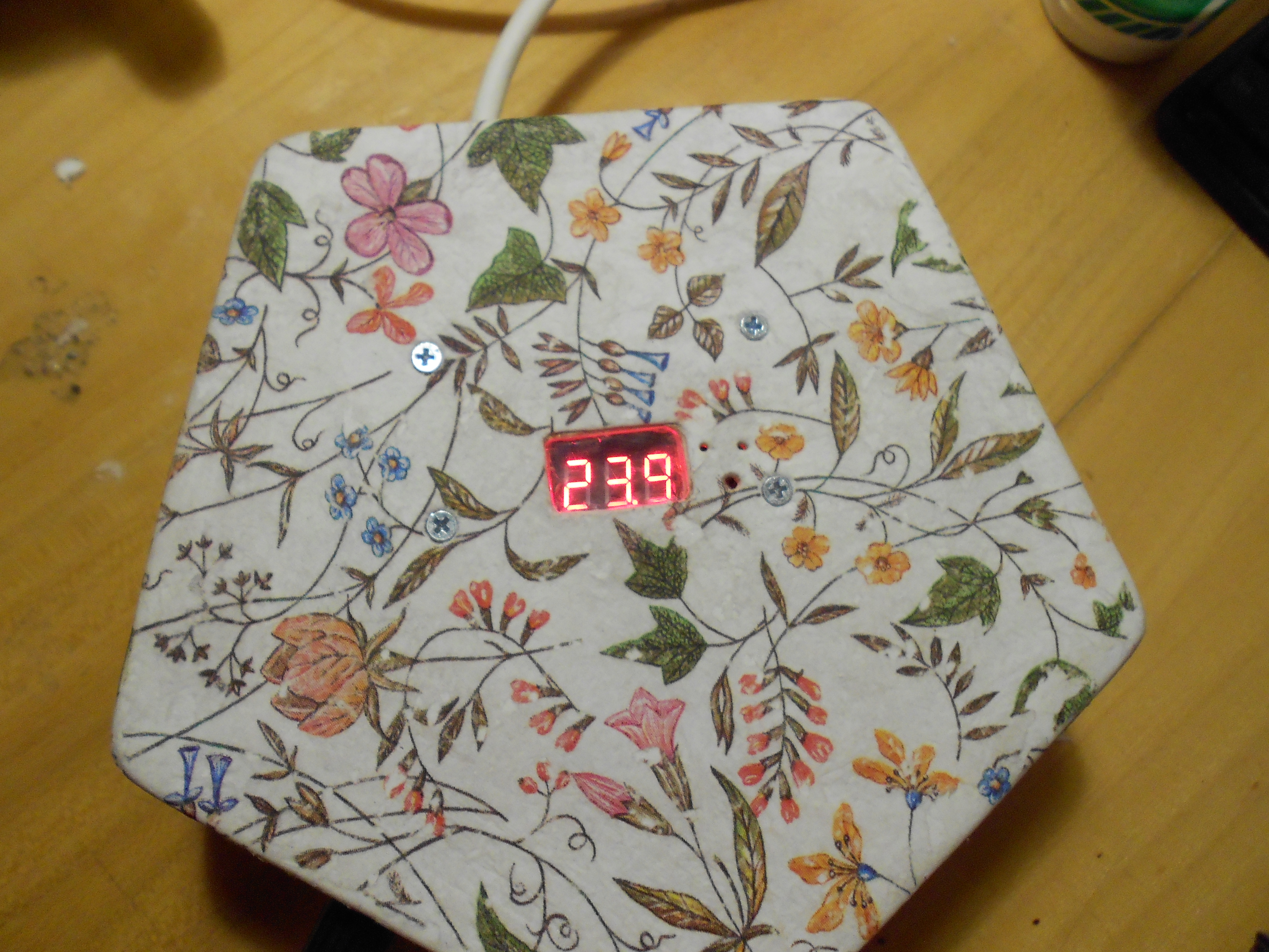 DSCN6365.JPG
