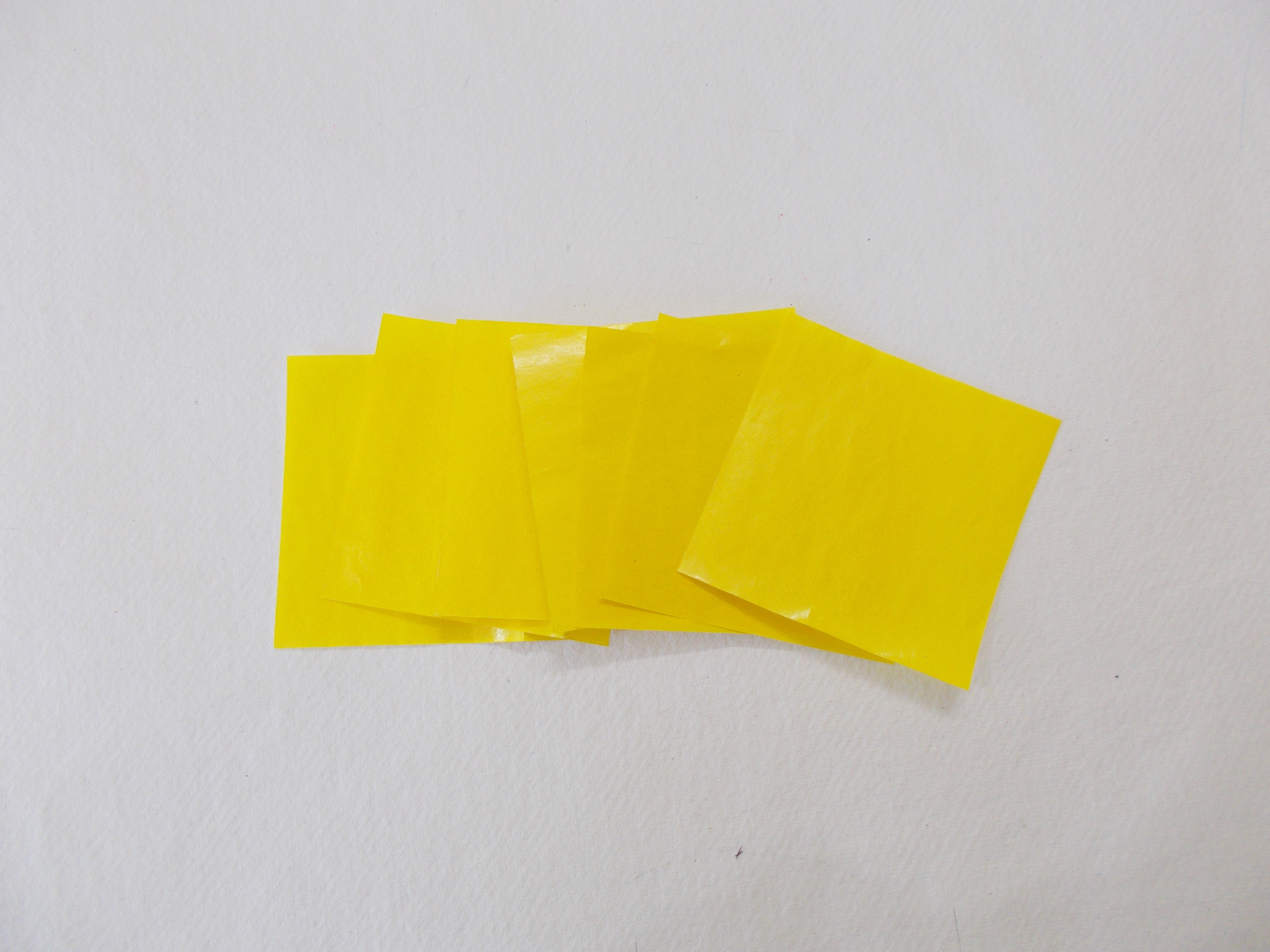 DSCN7098.JPG