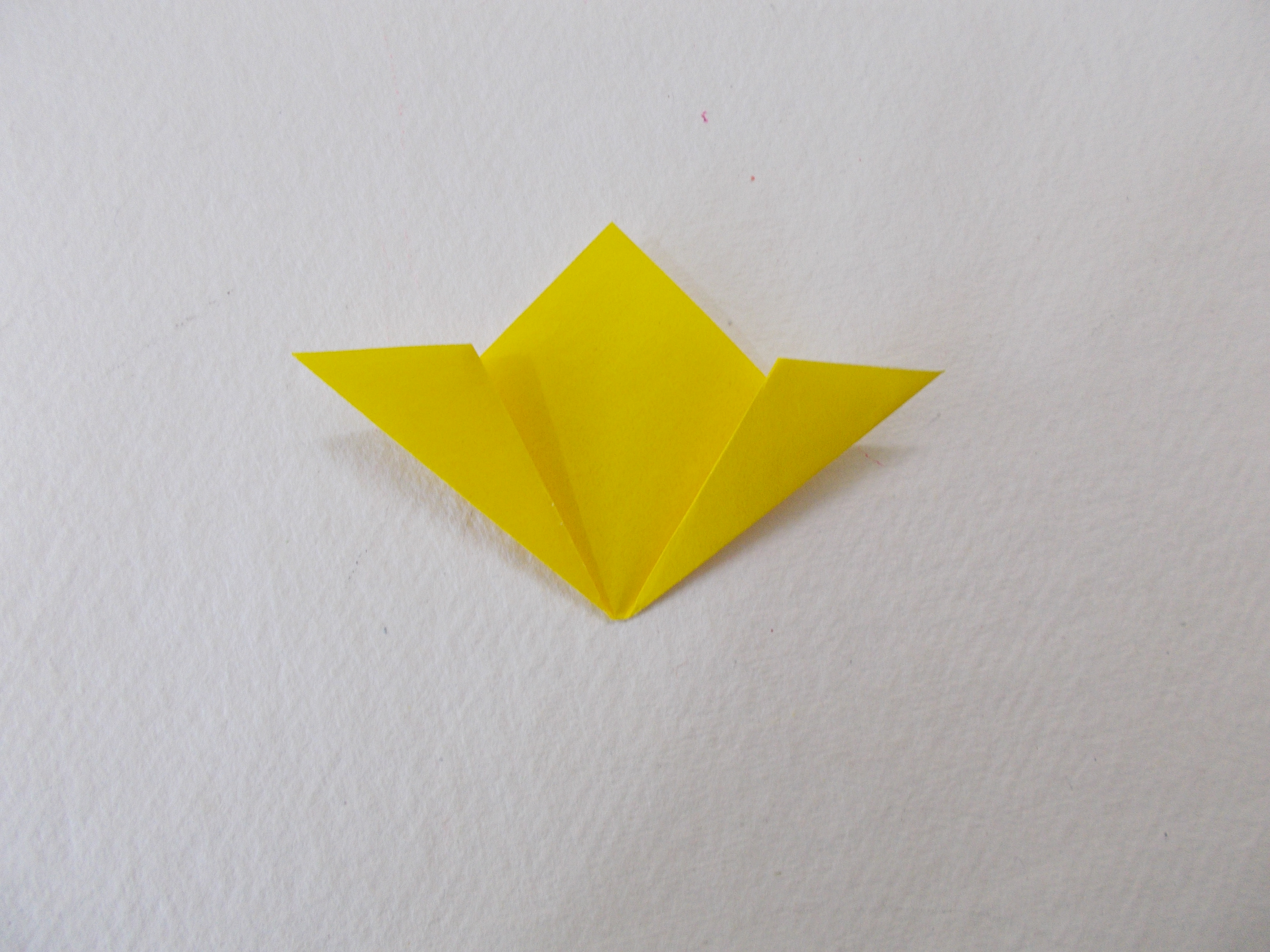 DSCN7106.JPG
