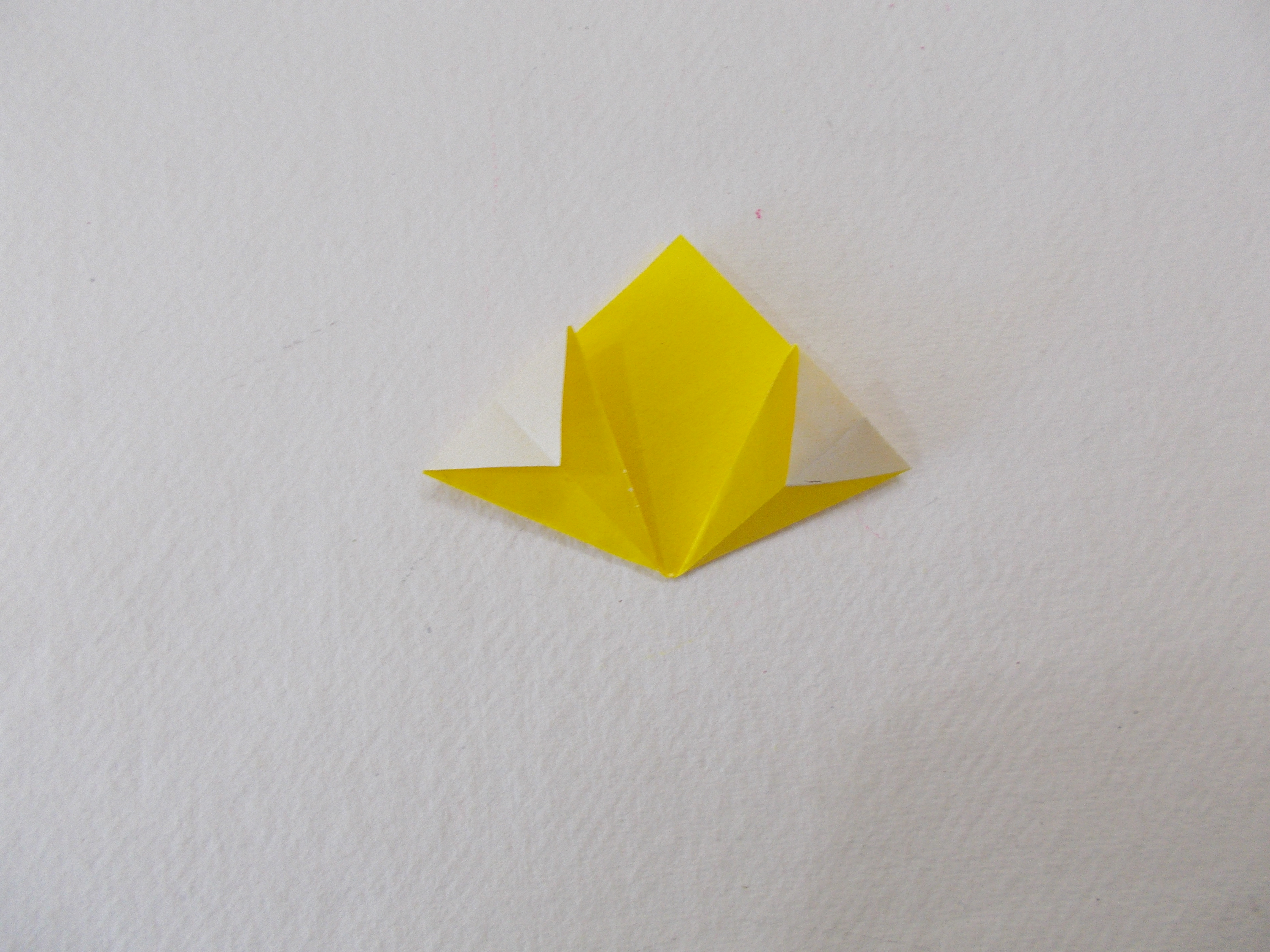 DSCN7111.JPG