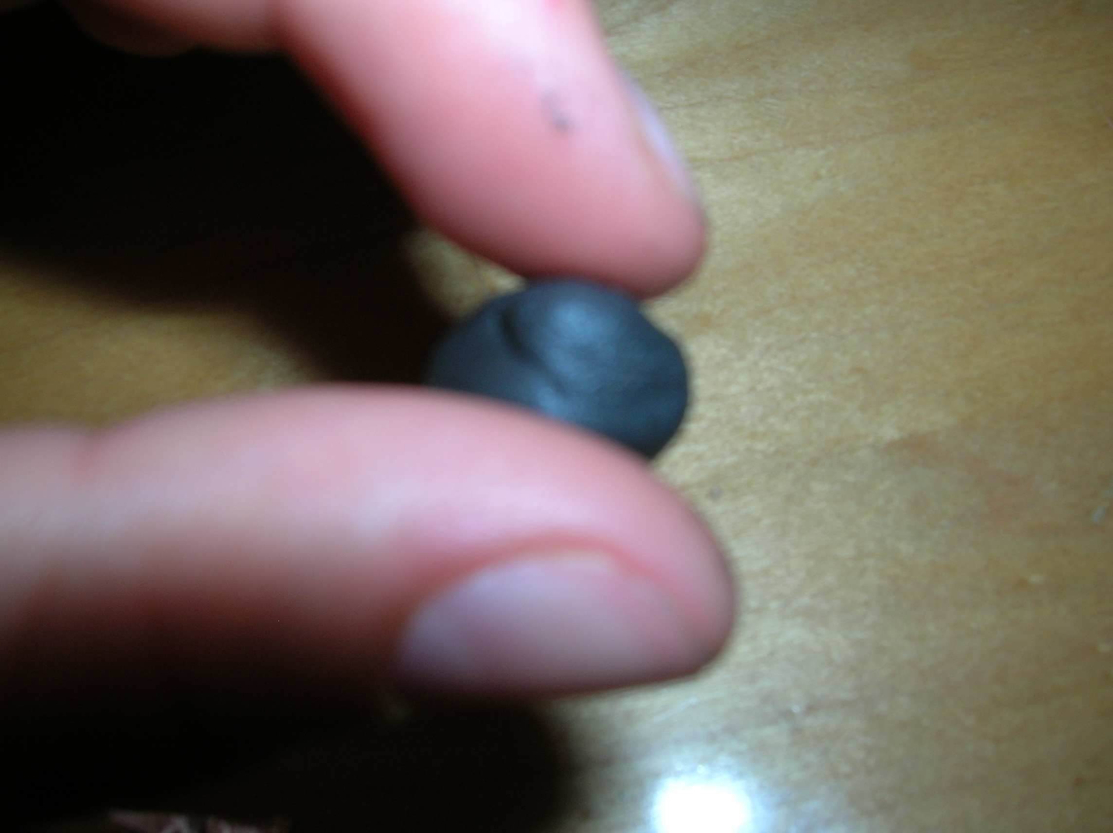 DSCN7907.JPG