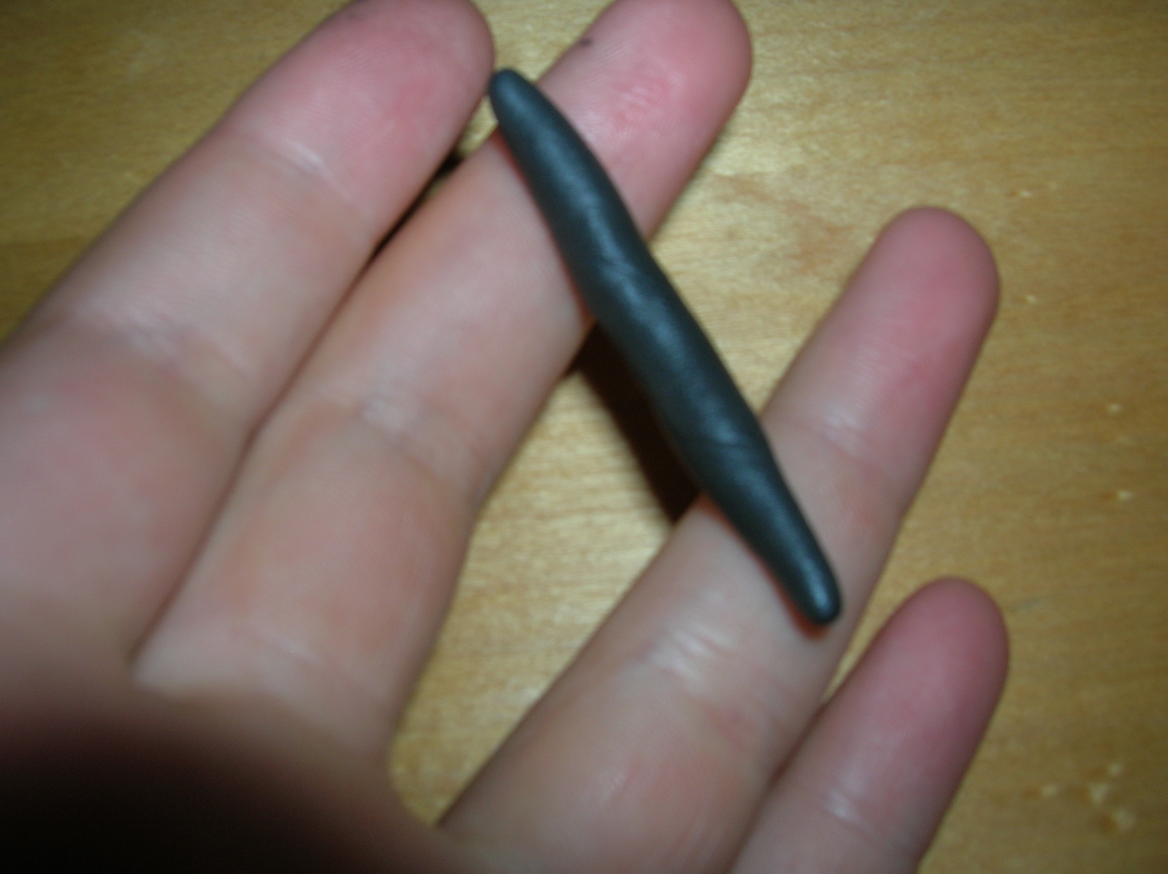DSCN7908.JPG