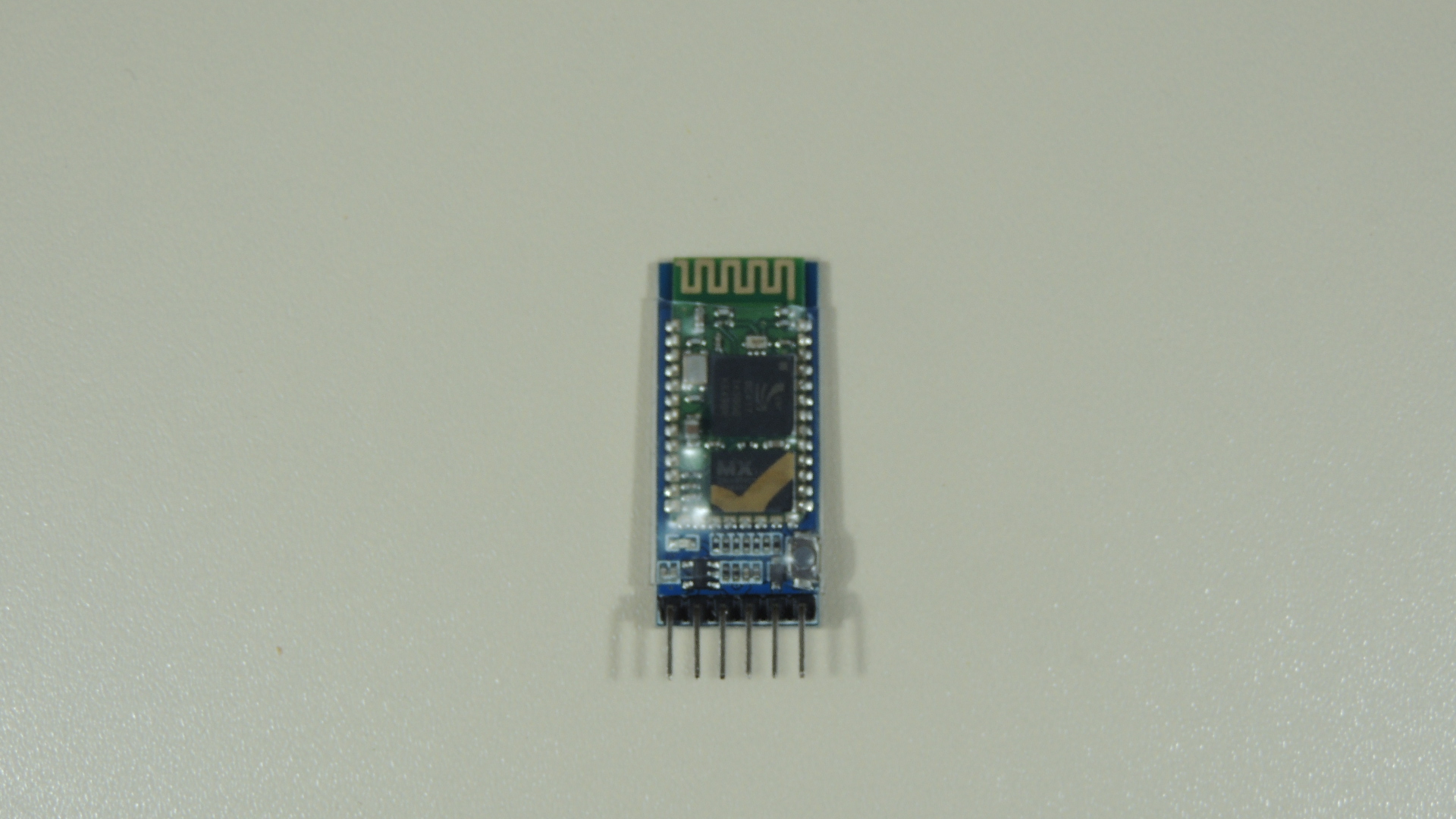 DSCN9567.JPG