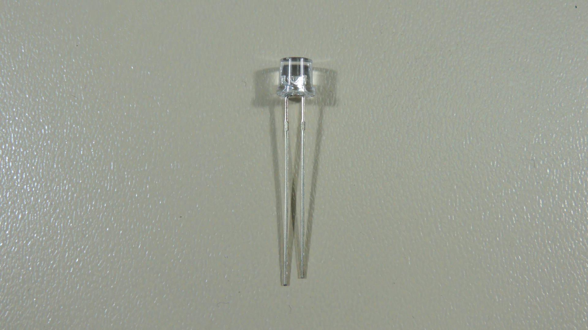 DSCN9733.JPG