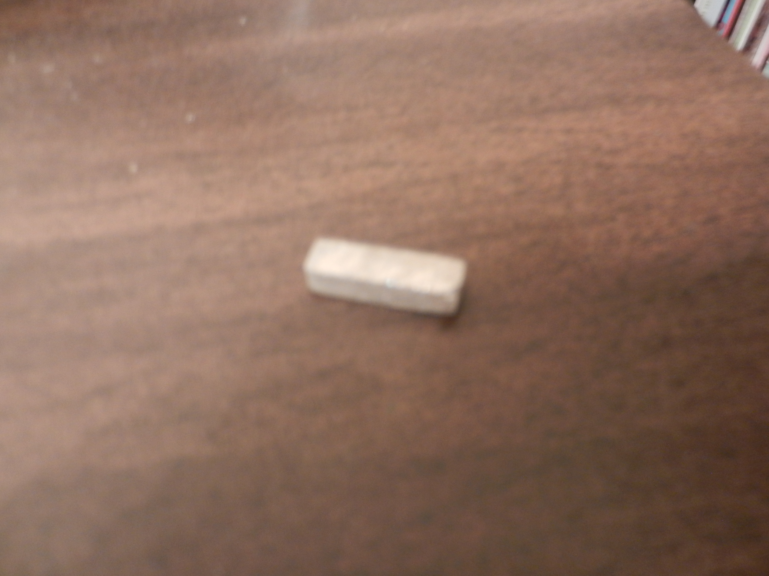 DSCN9921.JPG