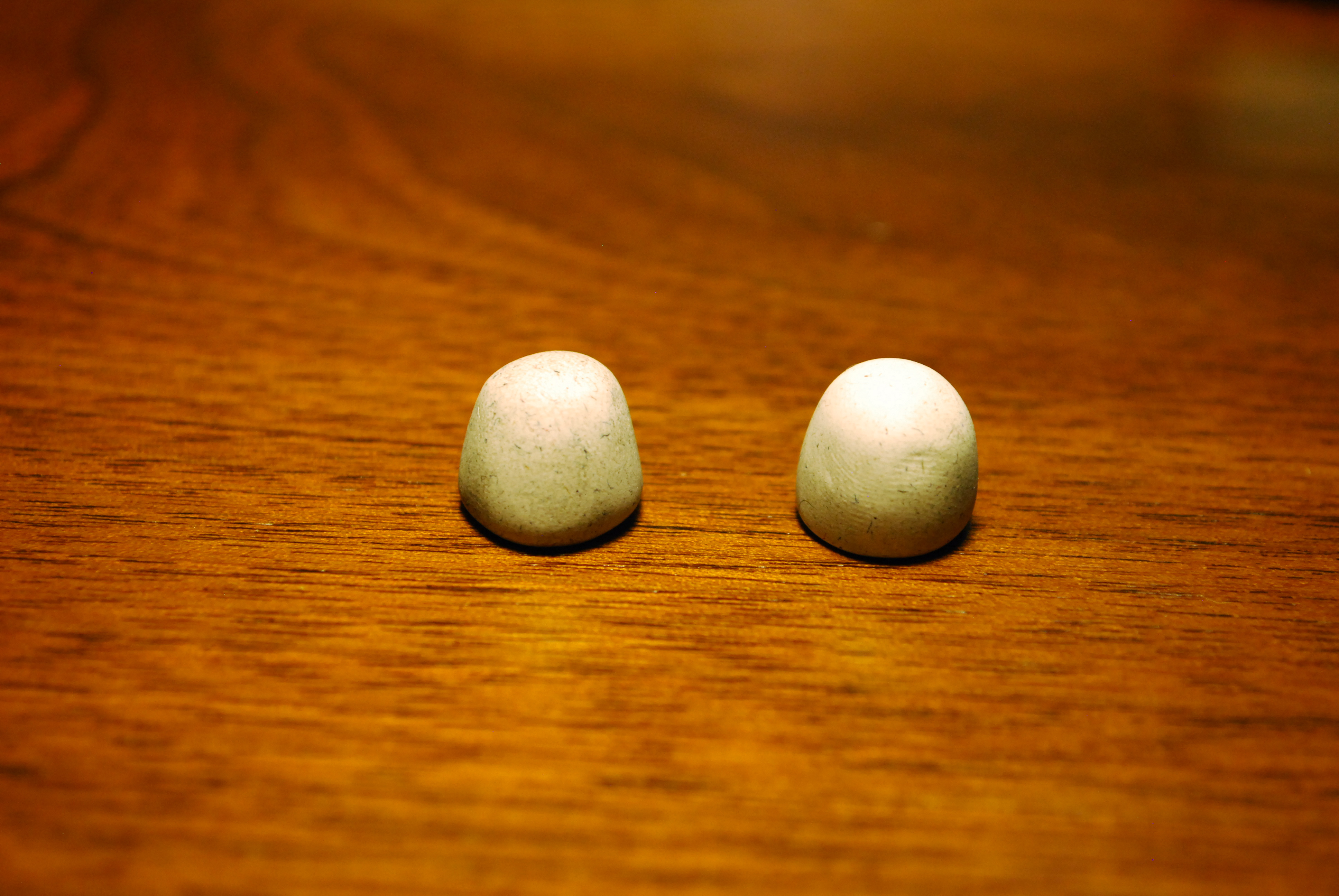 DSC_0004.JPG