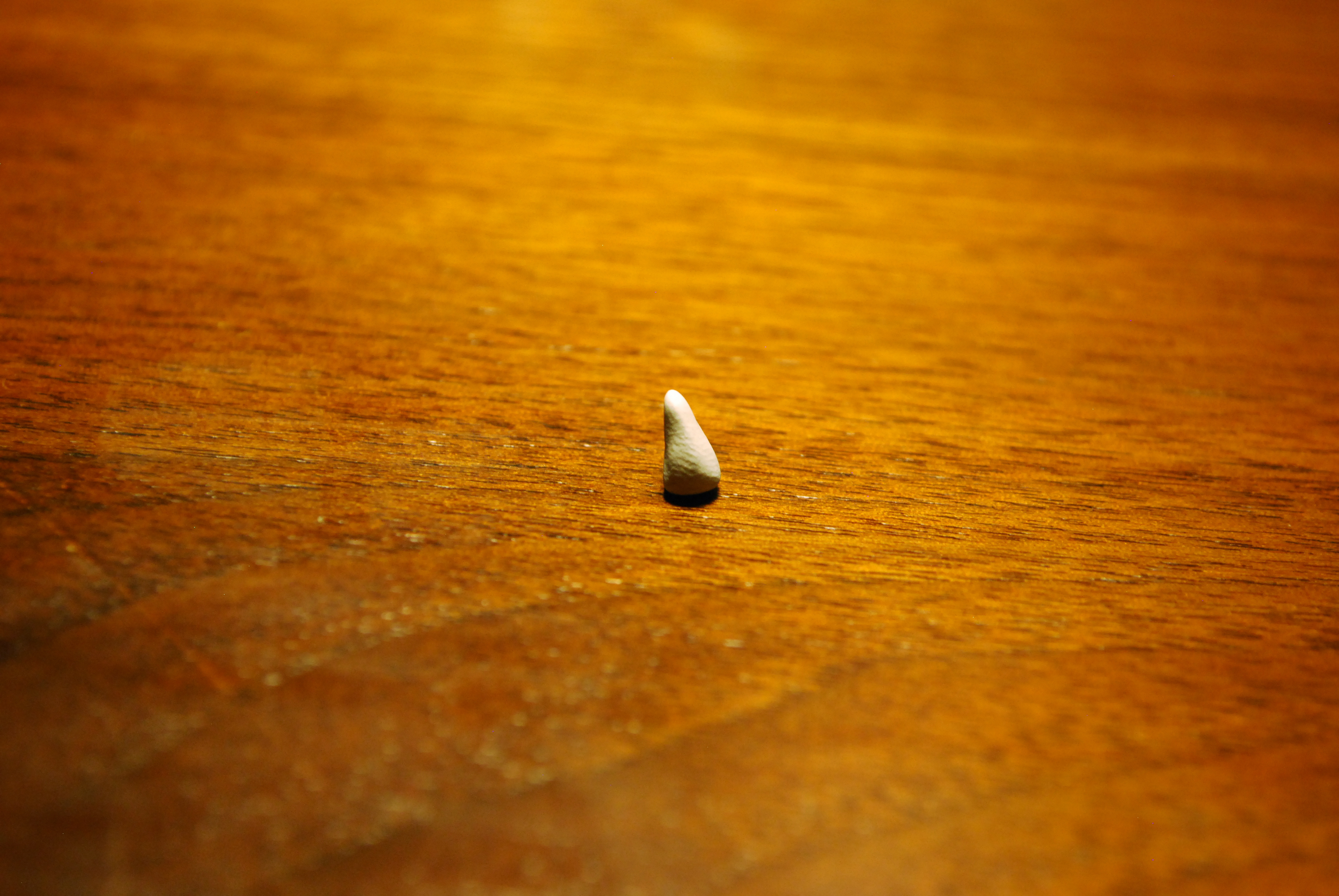 DSC_0009.JPG