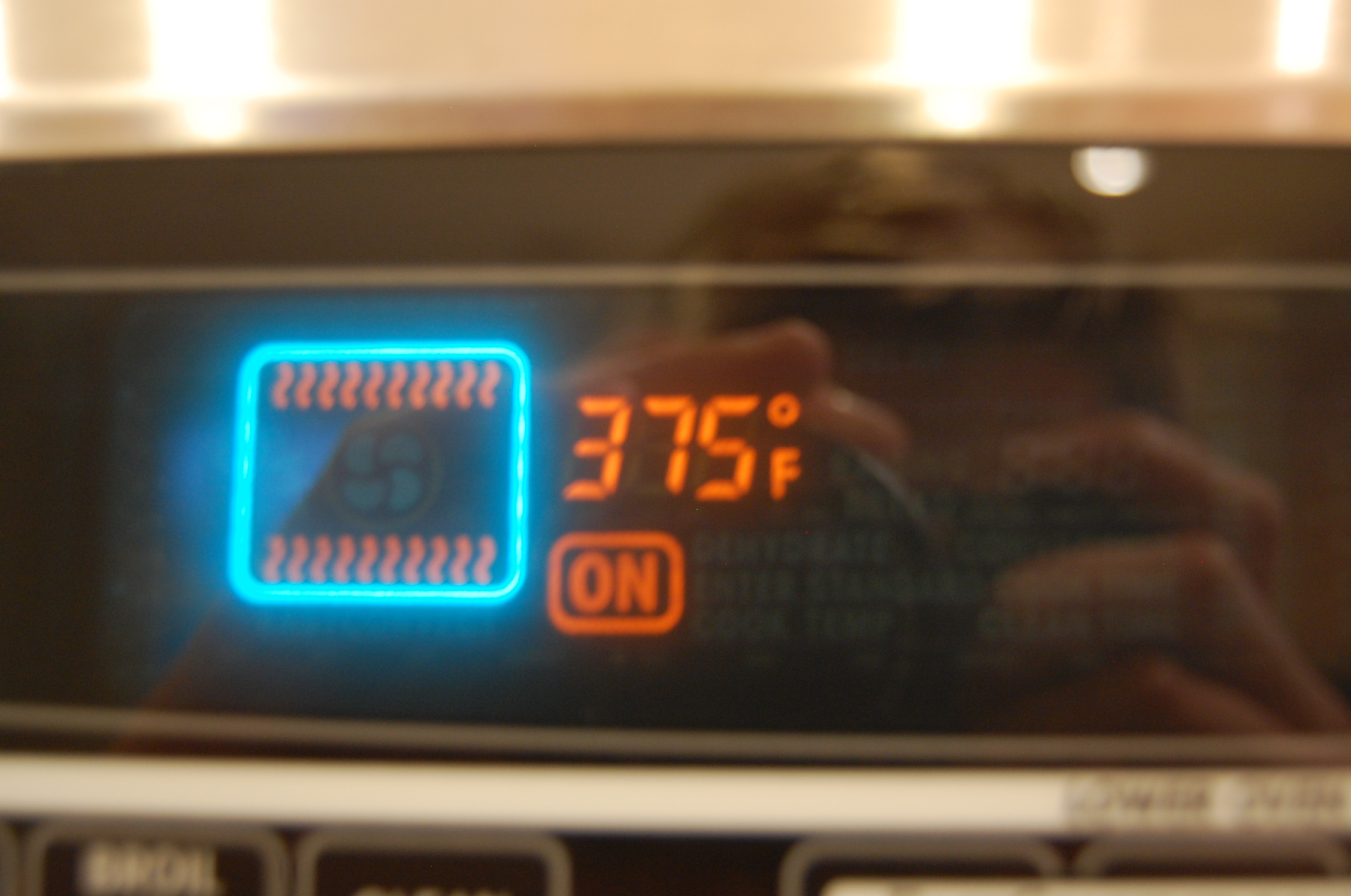 DSC_0021.JPG