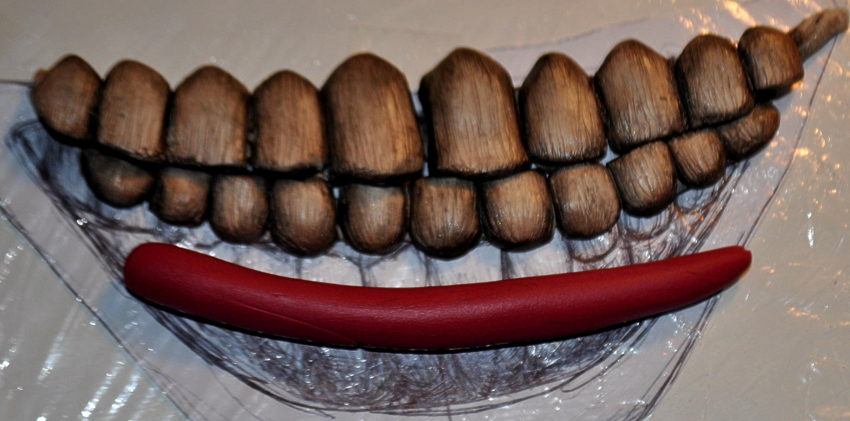 DSC_0071.JPG
