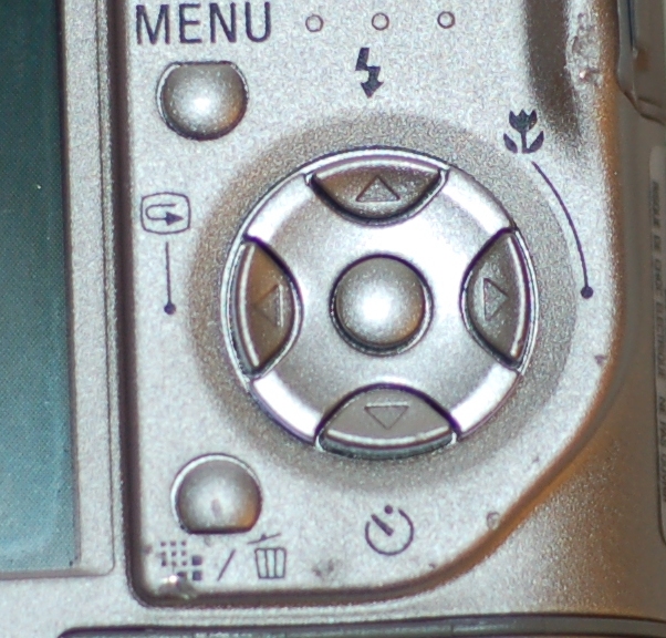 DSC_0075.JPG