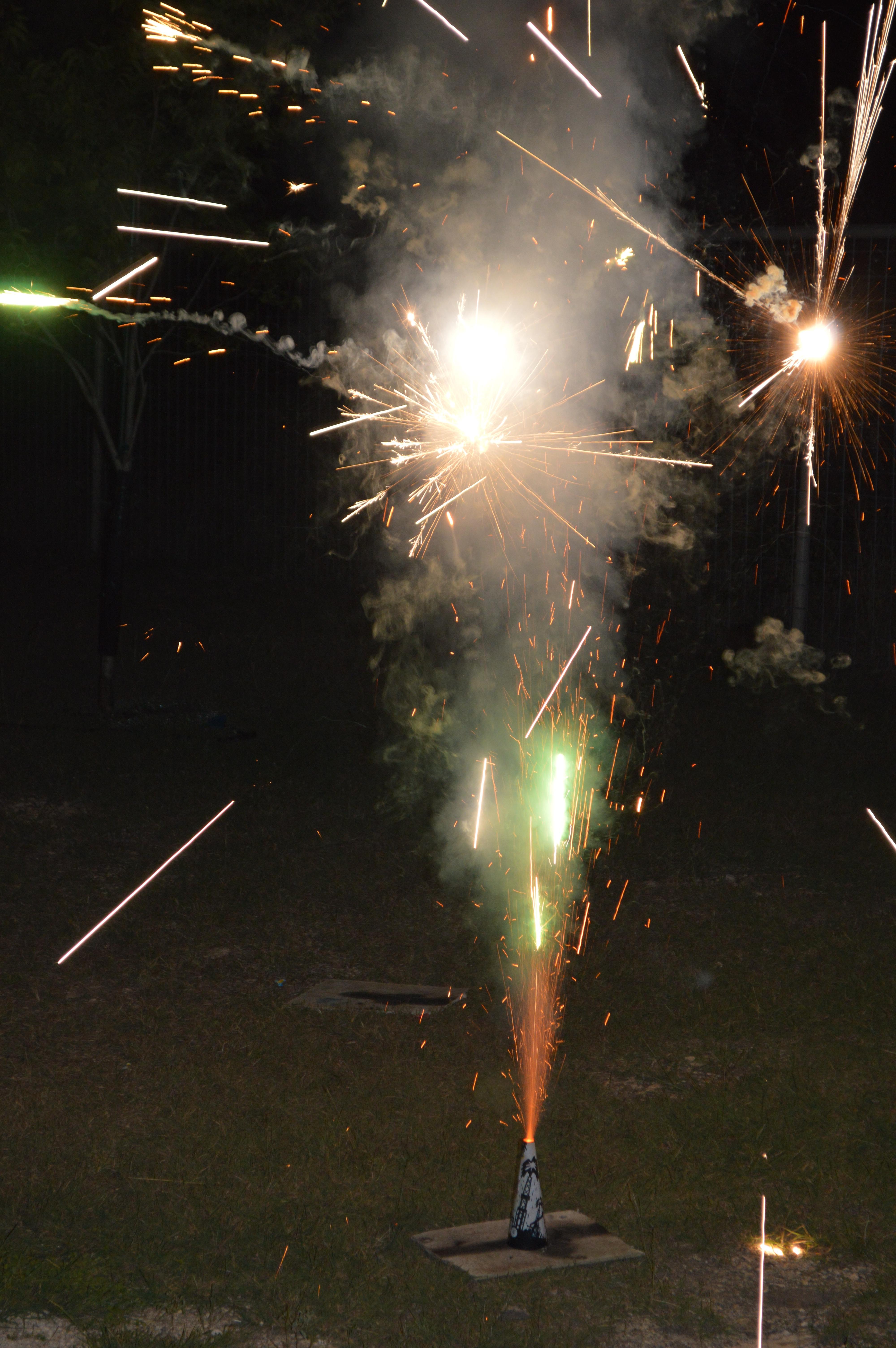 DSC_0166.jpg