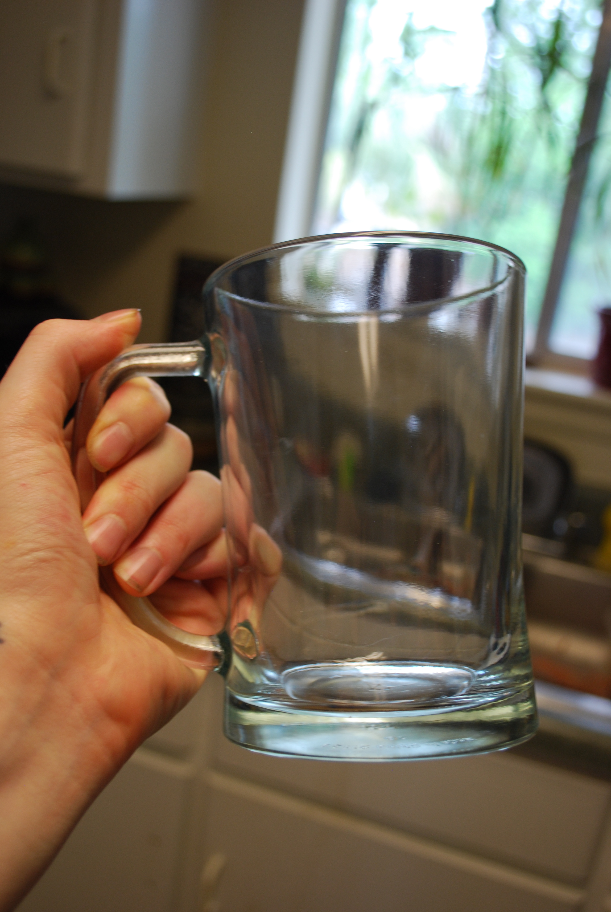 DSC_0195.JPG
