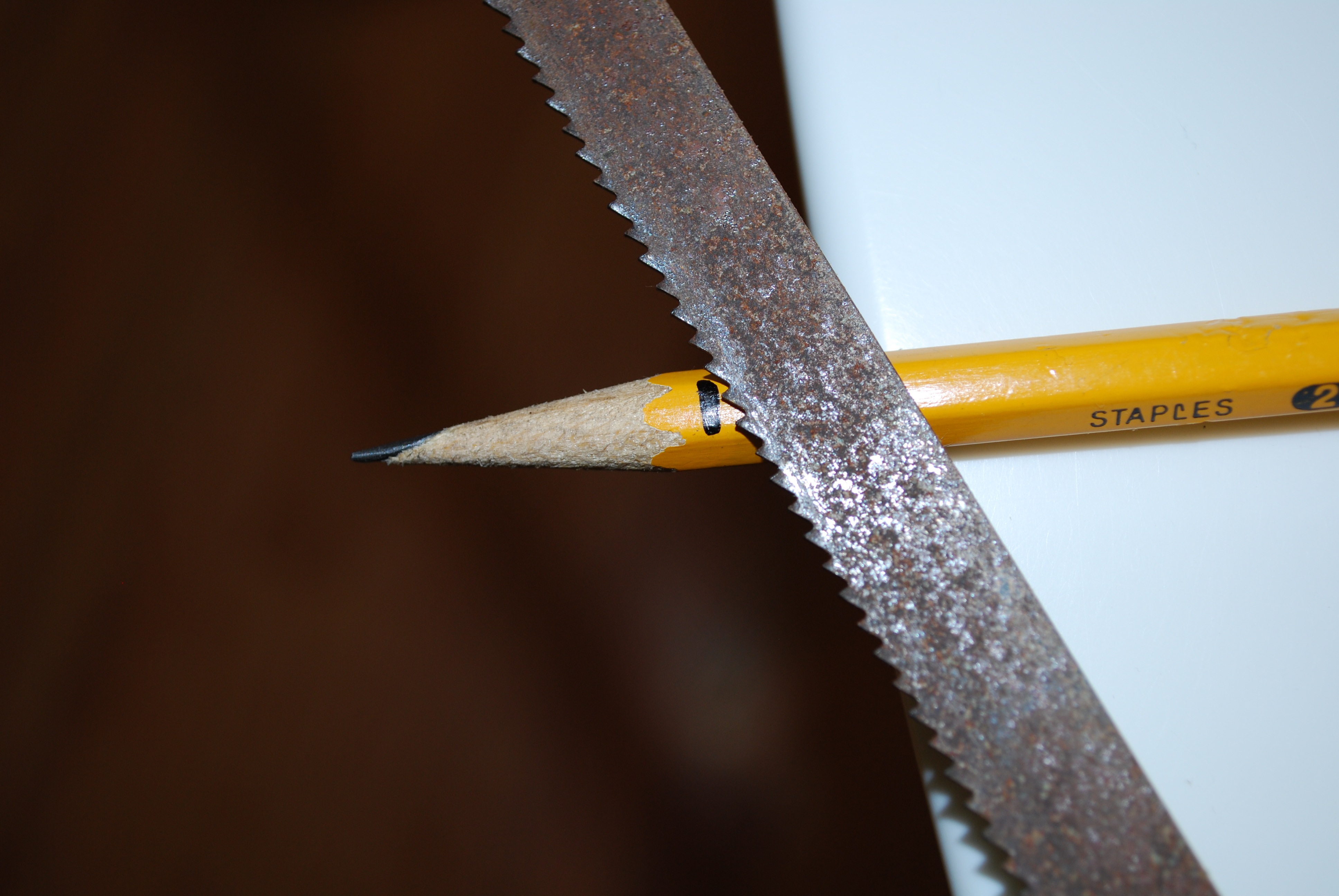 DSC_0196.jpg