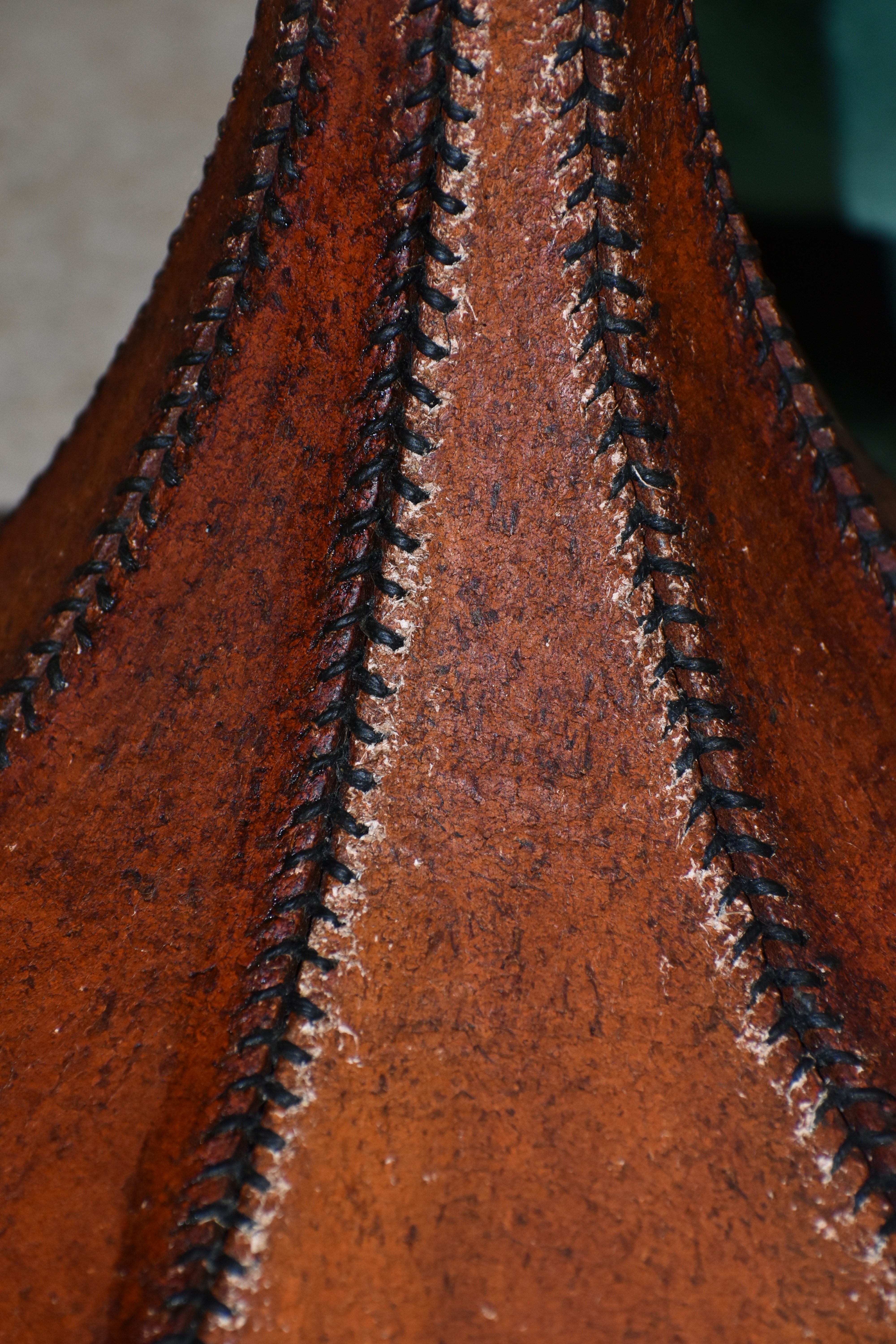 DSC_0315.JPG