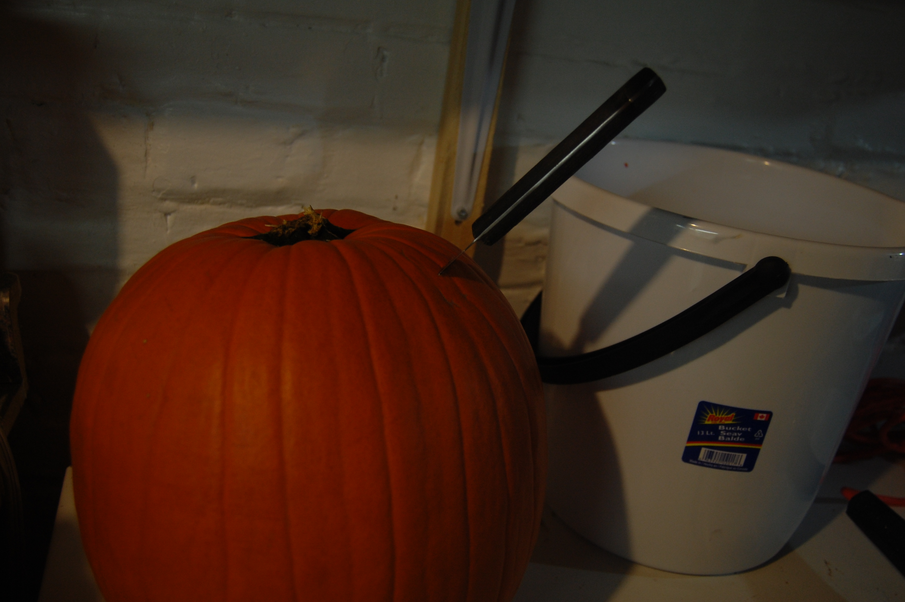 DSC_0442.JPG