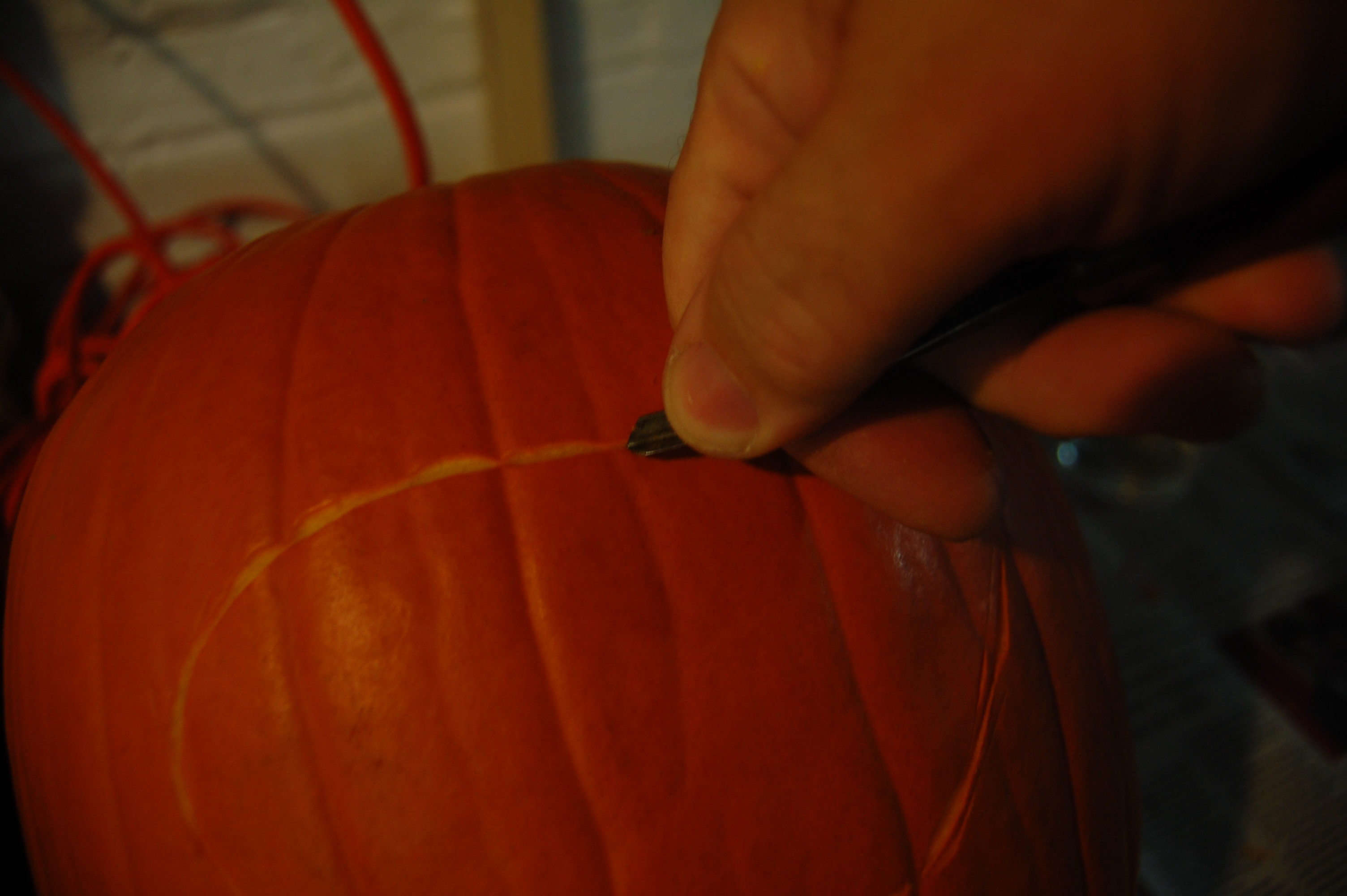 DSC_0459.JPG