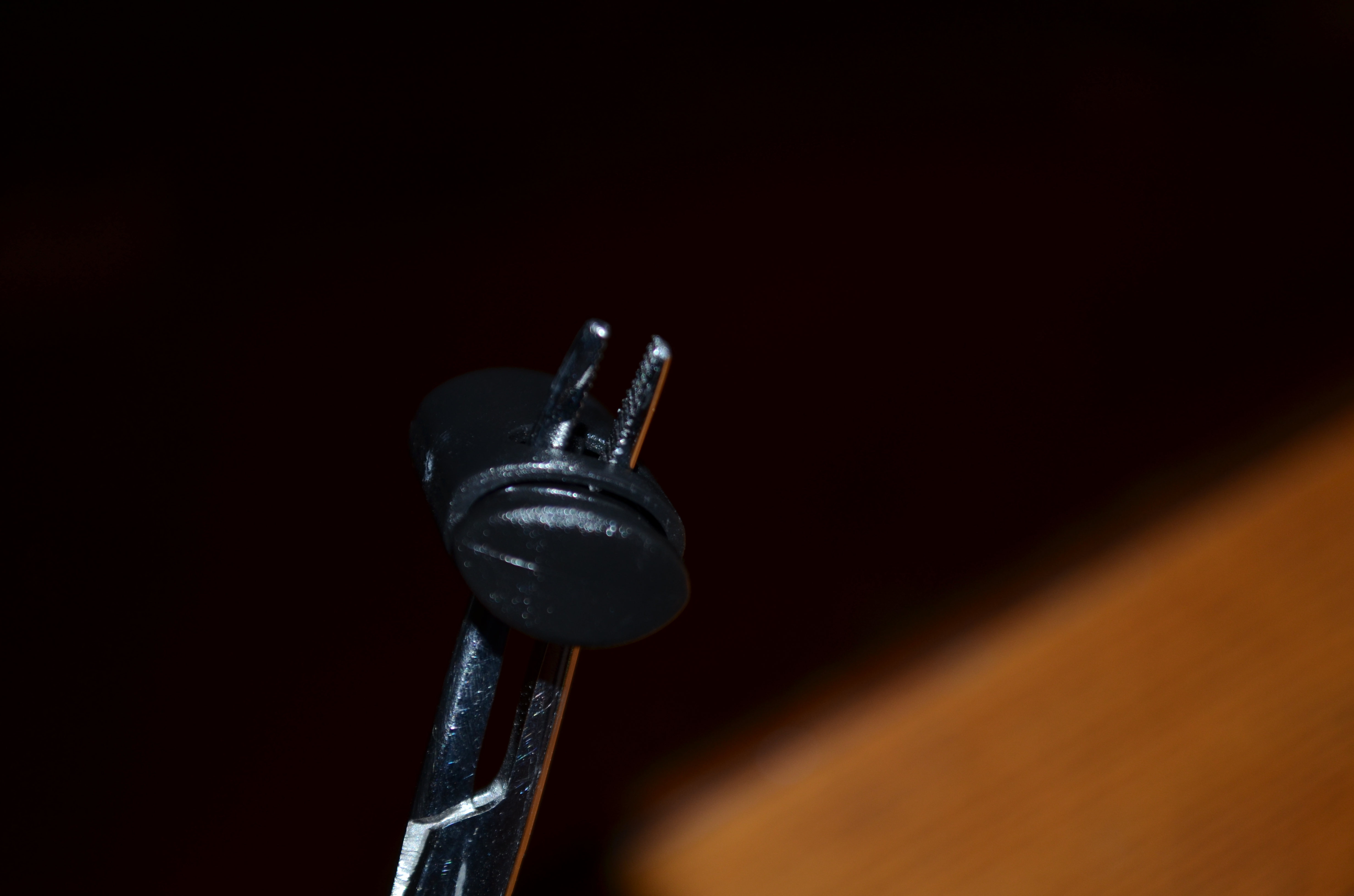 DSC_0490.JPG