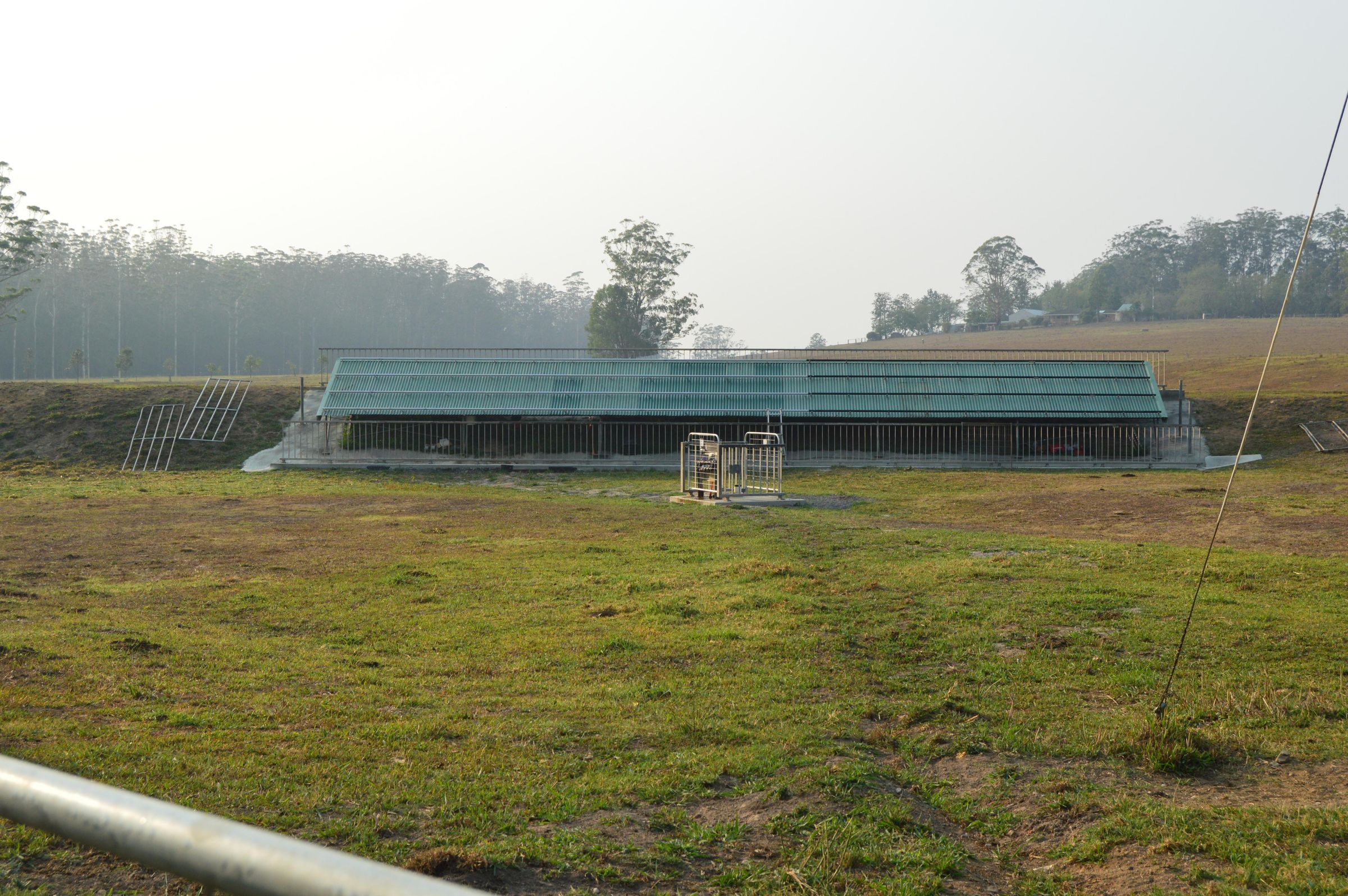 DSC_0664.JPG