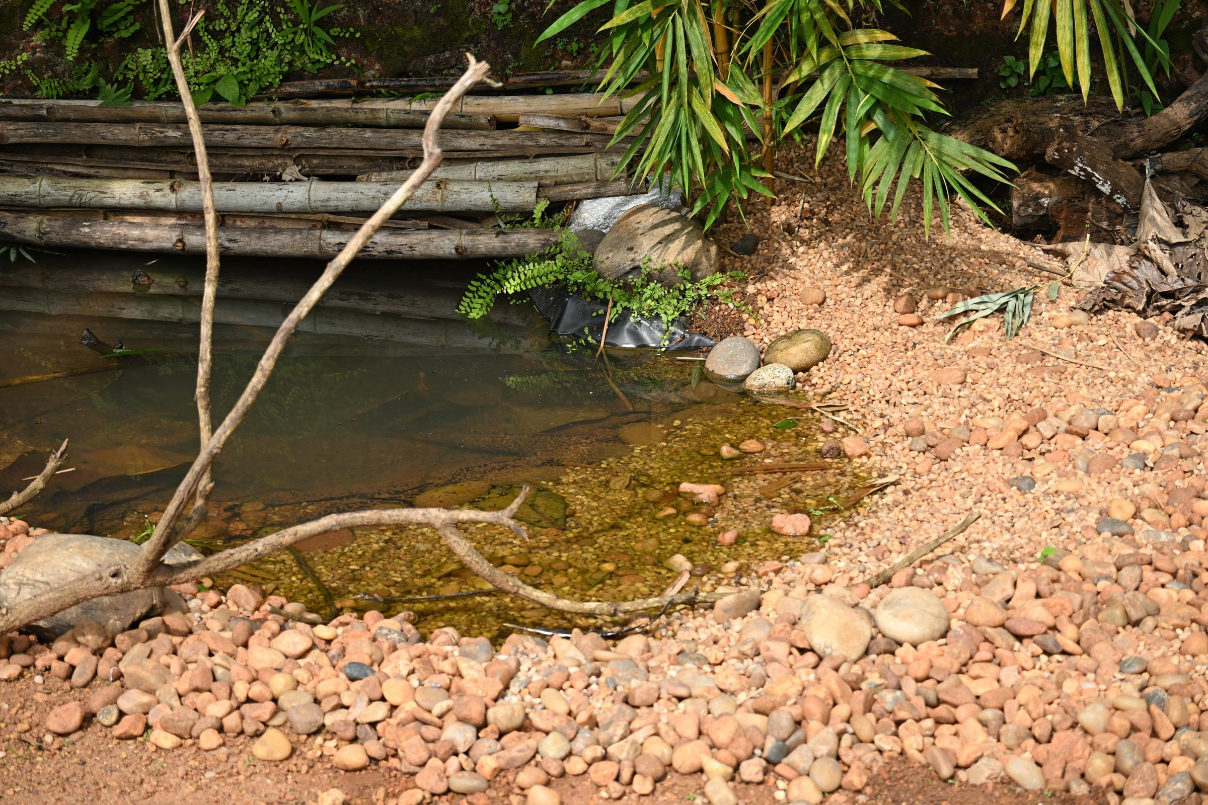 DSC_0897.JPG