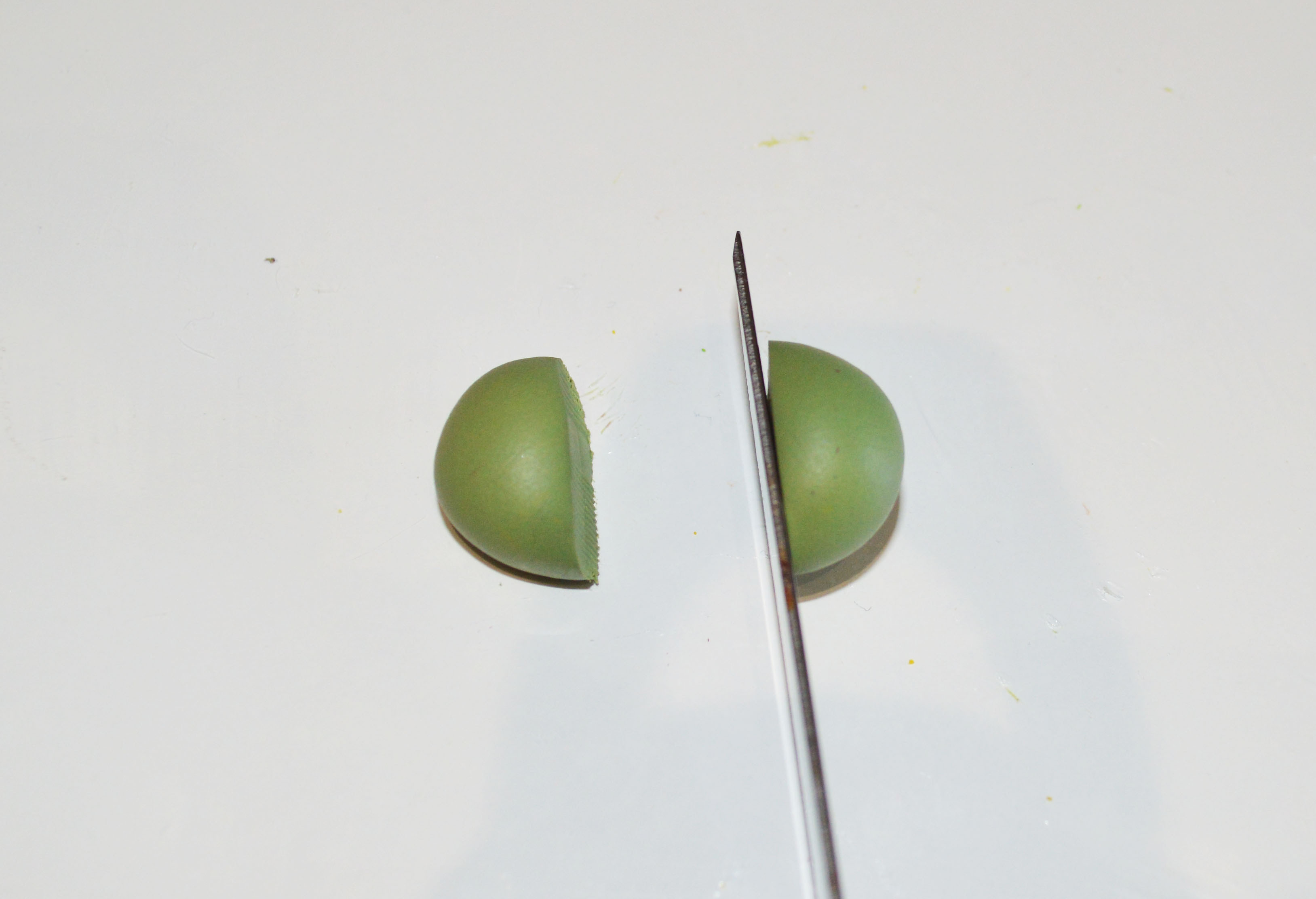 DSC_1012.JPG