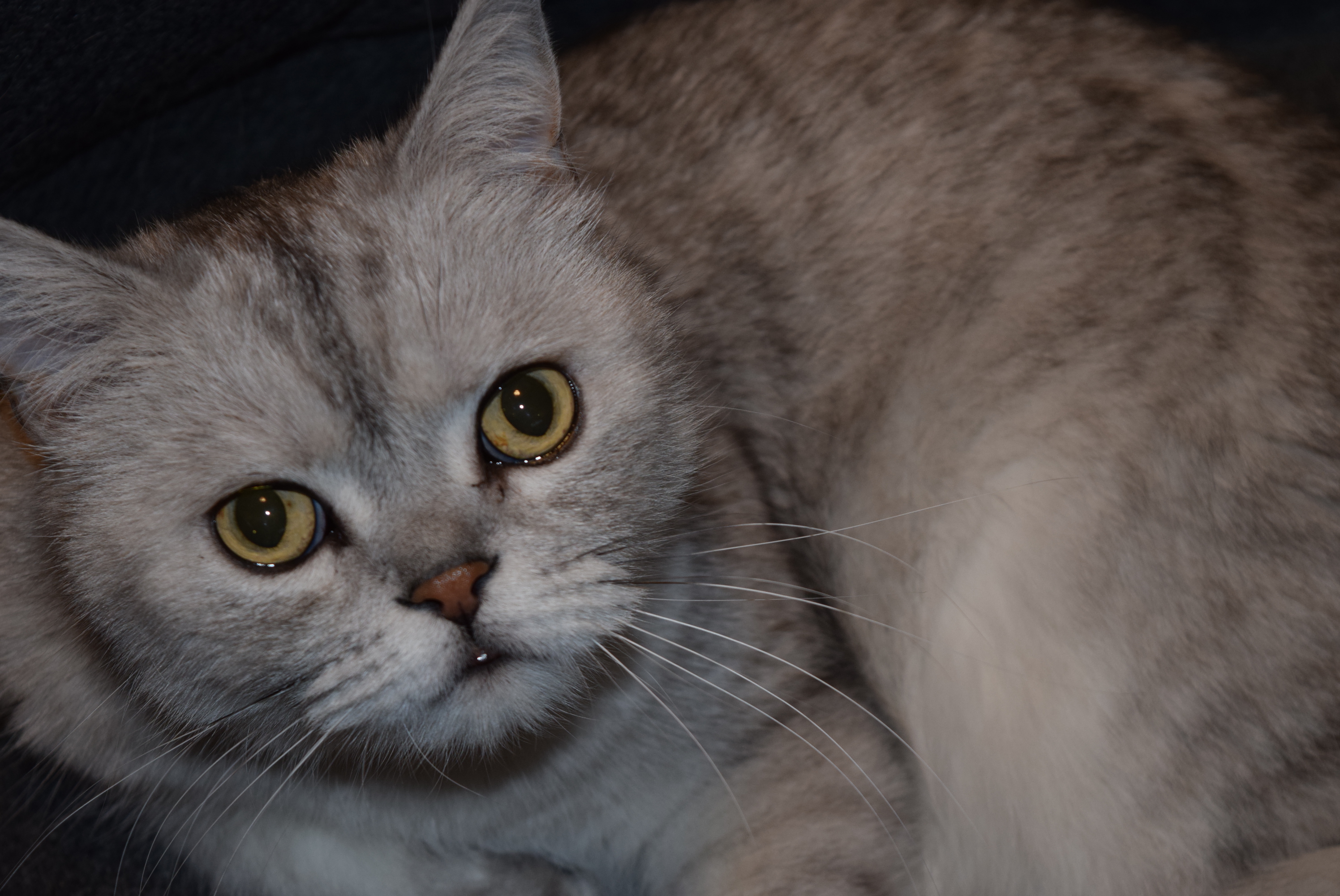 DSC_2151.JPG