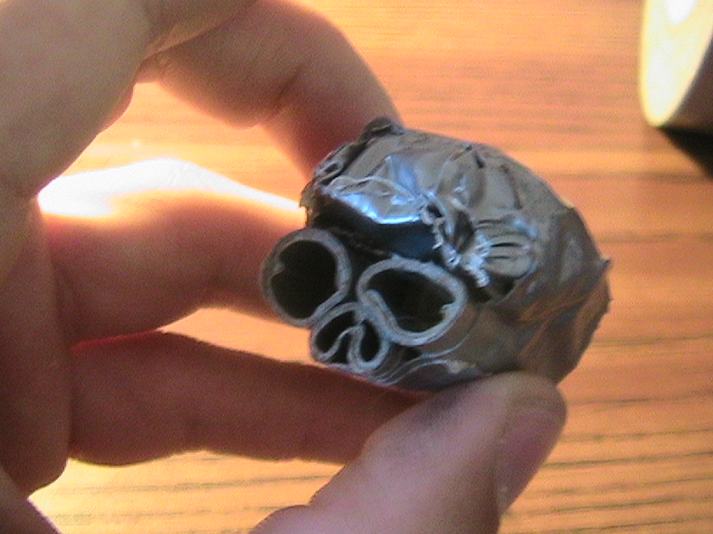 DT Skull 039.jpg