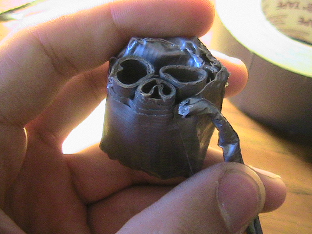 DT Skull 061.jpg