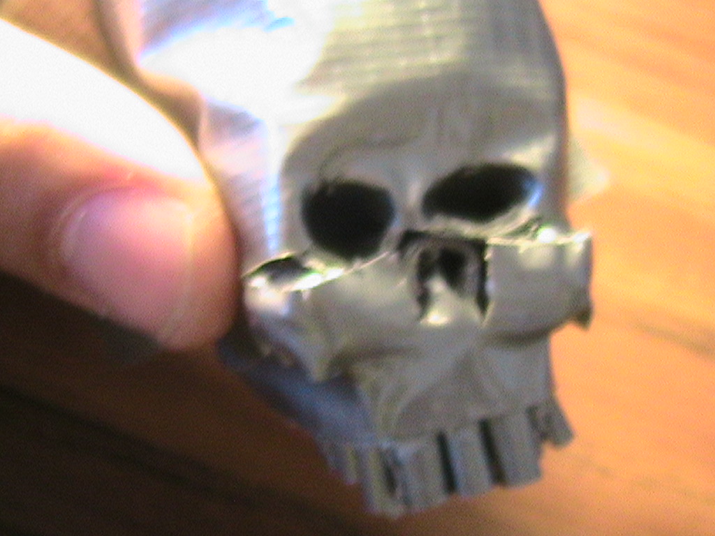 DT Skull 093.jpg