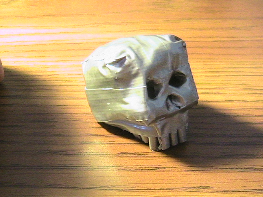 DT Skull 108.jpg