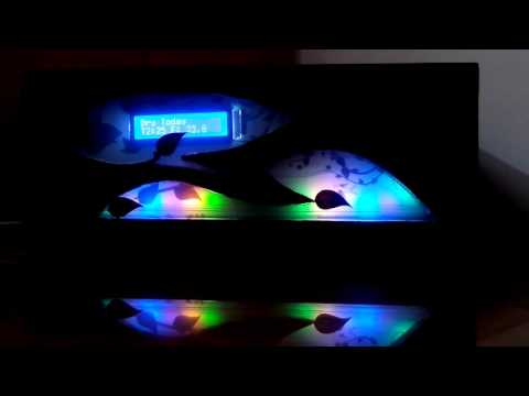 Dancing LED Lights