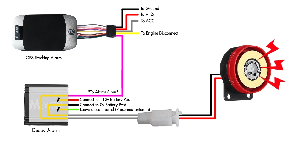 Decoy Motorcycle Alarm Diagram.jpg