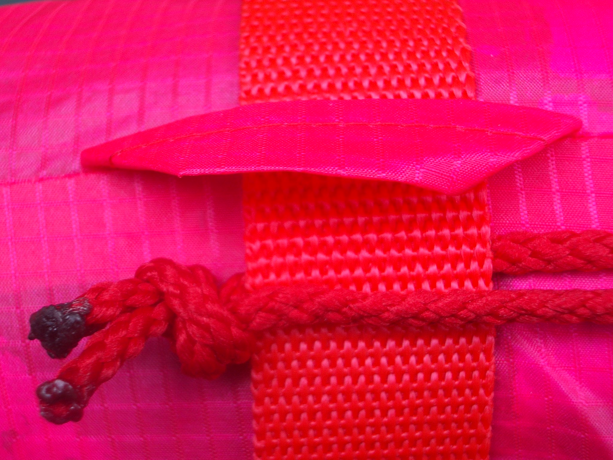 Detail of strap.JPG