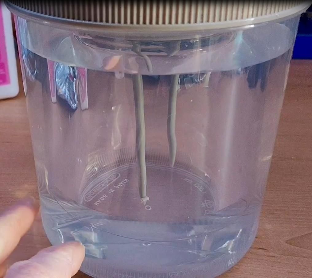 Detalle del pote peque&ntilde;o sin agua.jpg