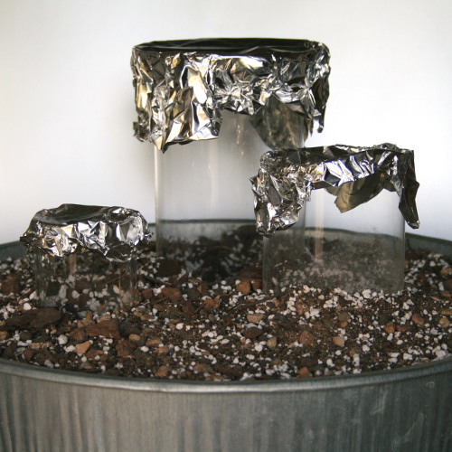 DirtFill2.jpg