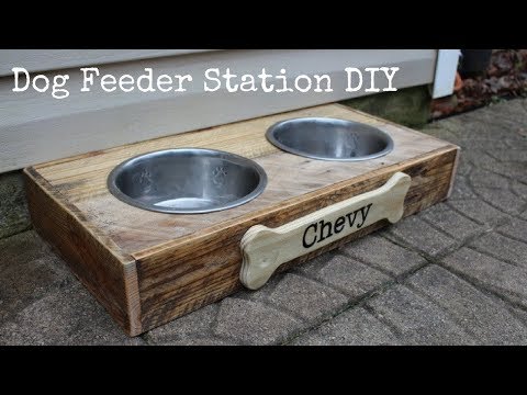 Dog Feeding Station DIY