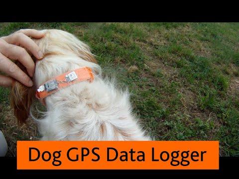 Dog GPS Data Logger