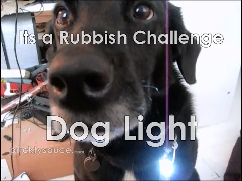 Dog light   Its a Rubbish Challenge