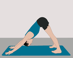 DownwardFacing Dog Adho Mukha Svanasana yoga pose.png