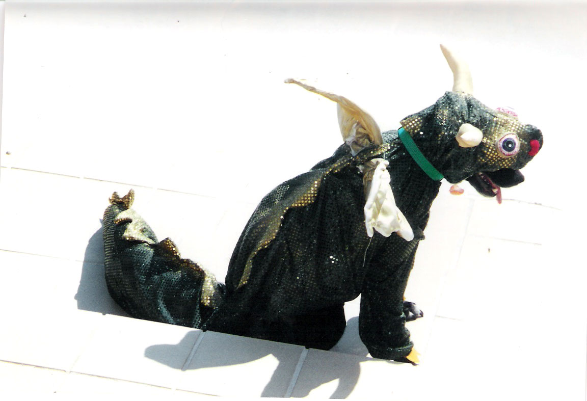 Dragon_Dog.jpg