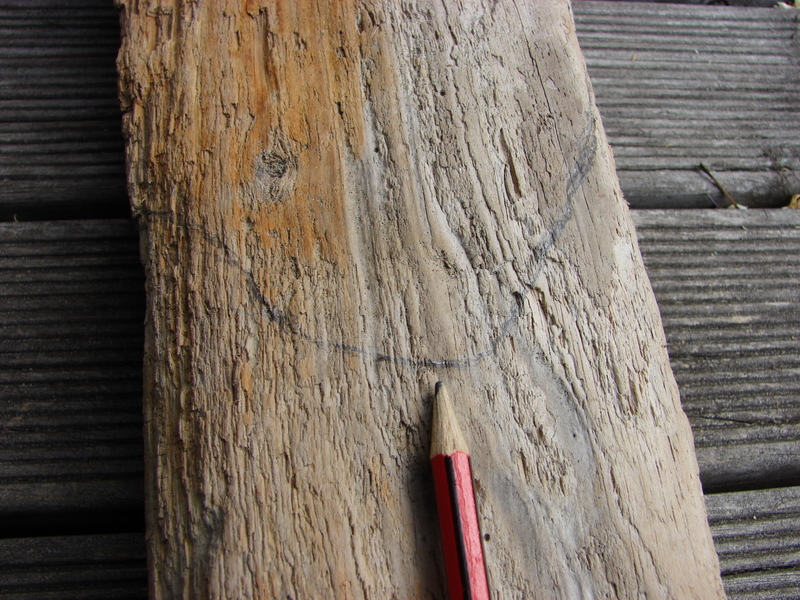 Driftwood0302.JPG