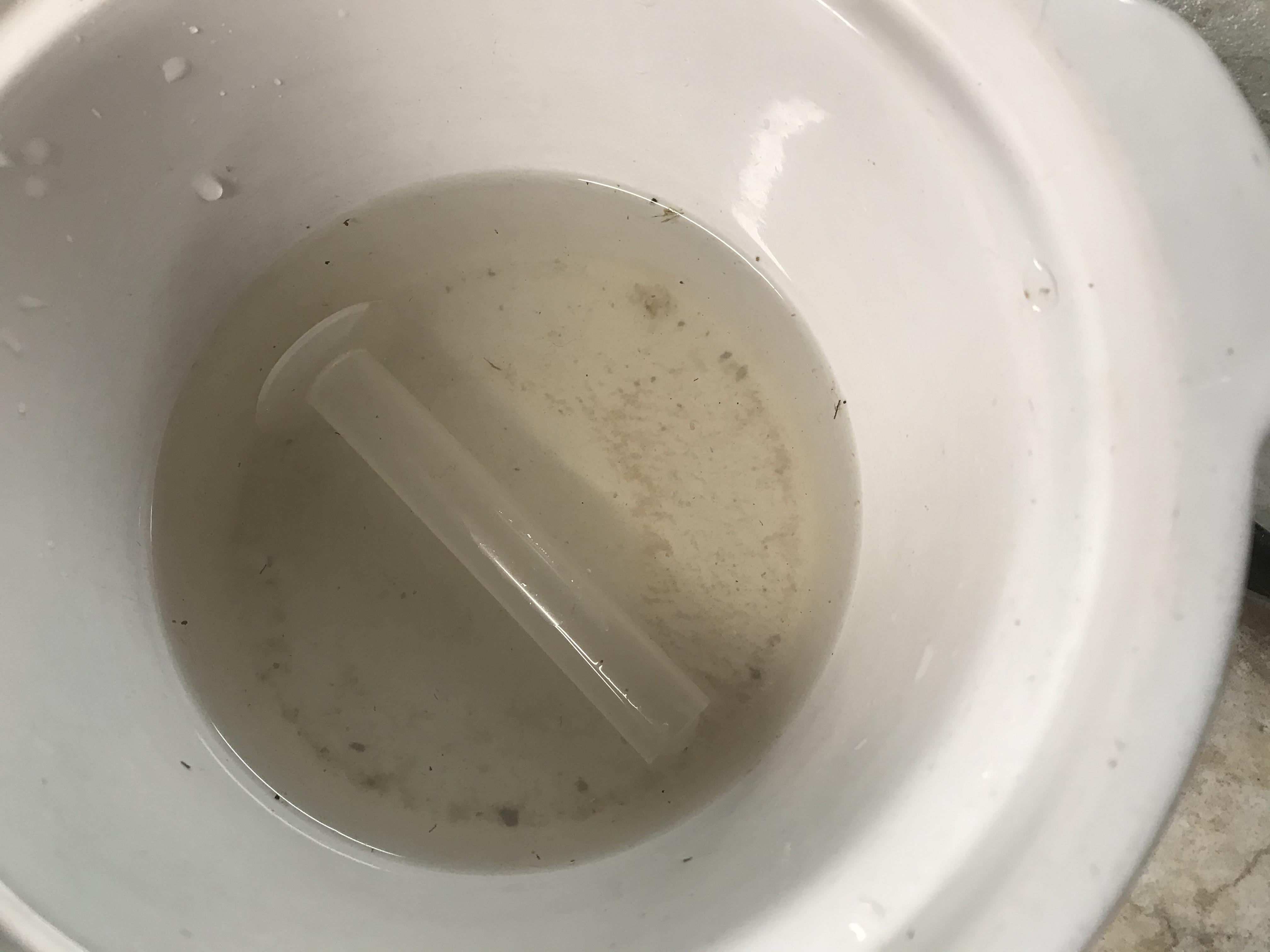 E40E4DC3-CF7B-4DB9-A0A5-B9D2F6E284A8.jpeg