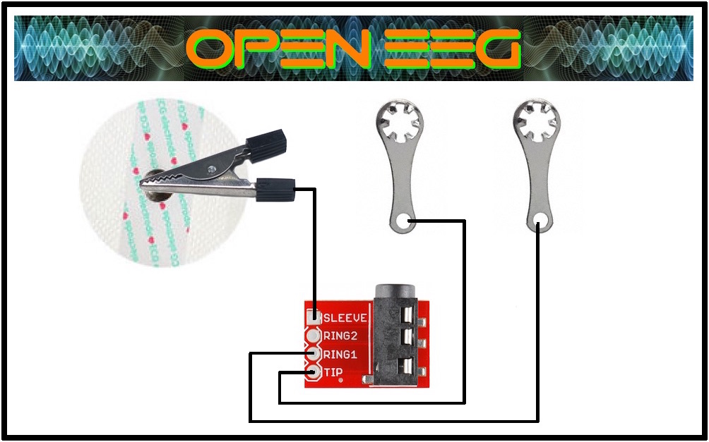 EEG Electrodes.jpg