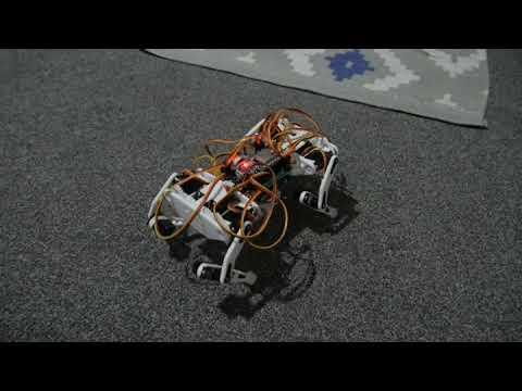 ESP32 Small quadruped robot, robot dog, rotation