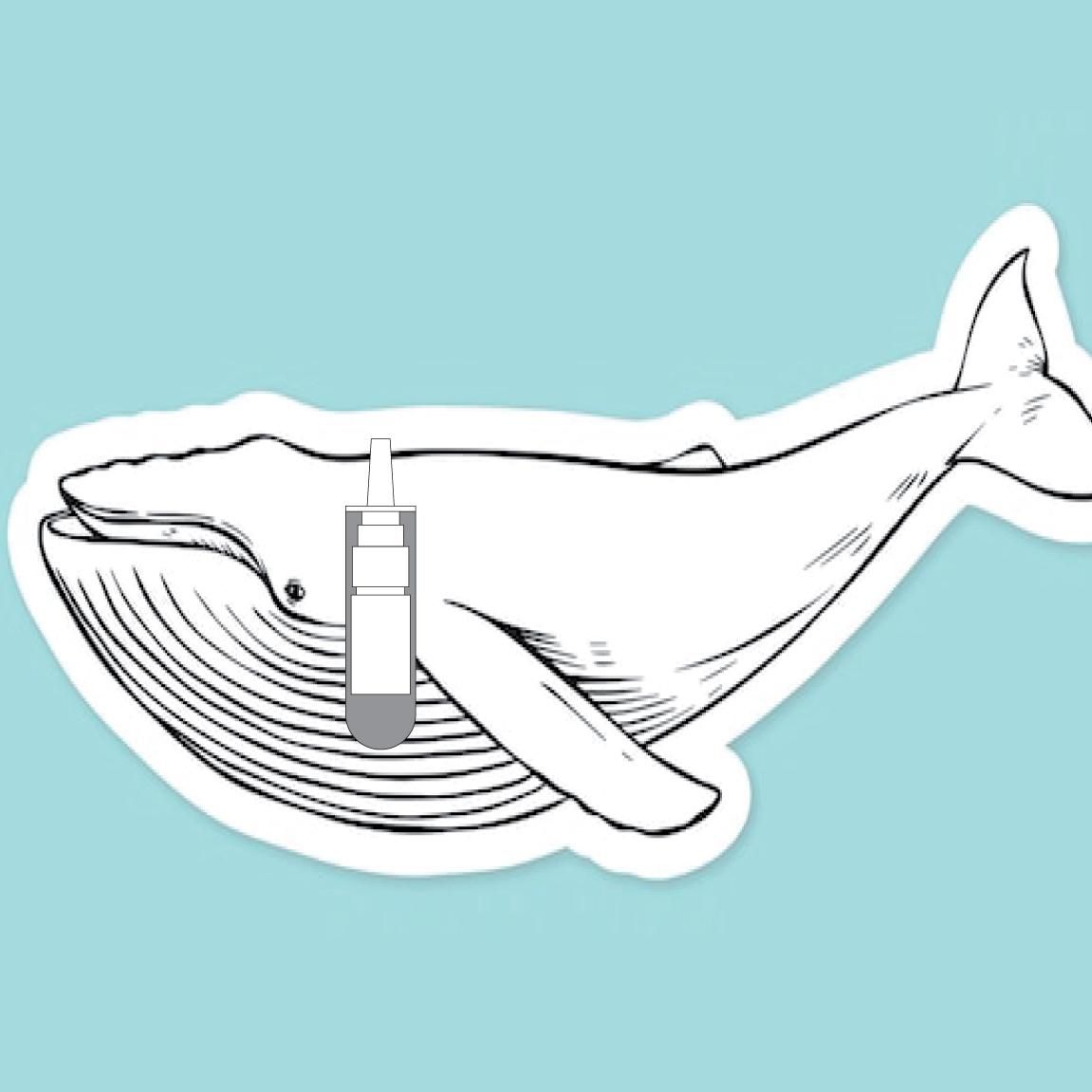Edited (Shortened) Pattern.jpg